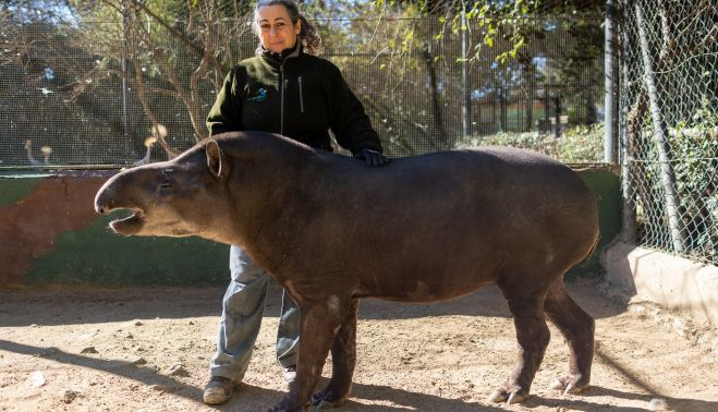 zoo jerez 011