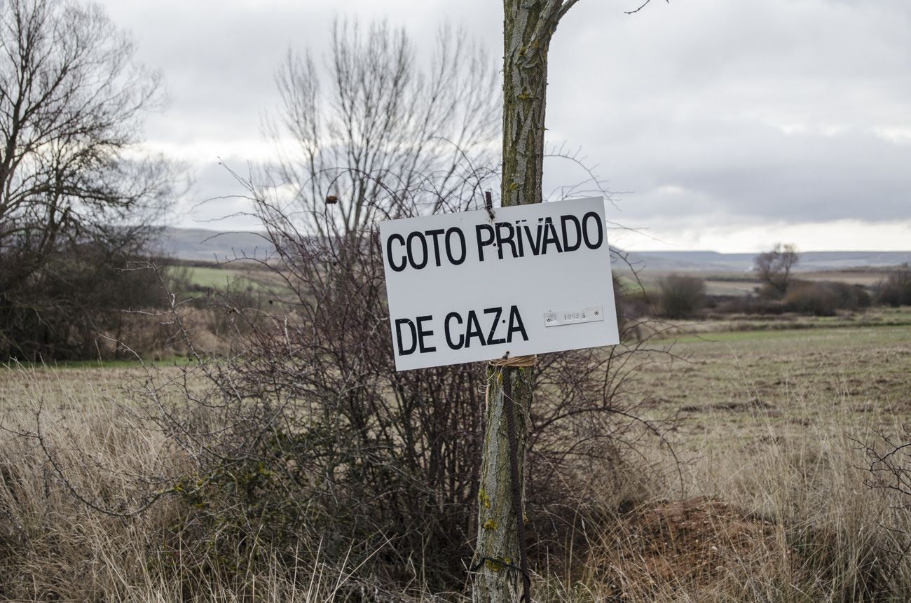 La Junta de Andalucía pretende ofrecer tierras públicas para aprender a cazar.
