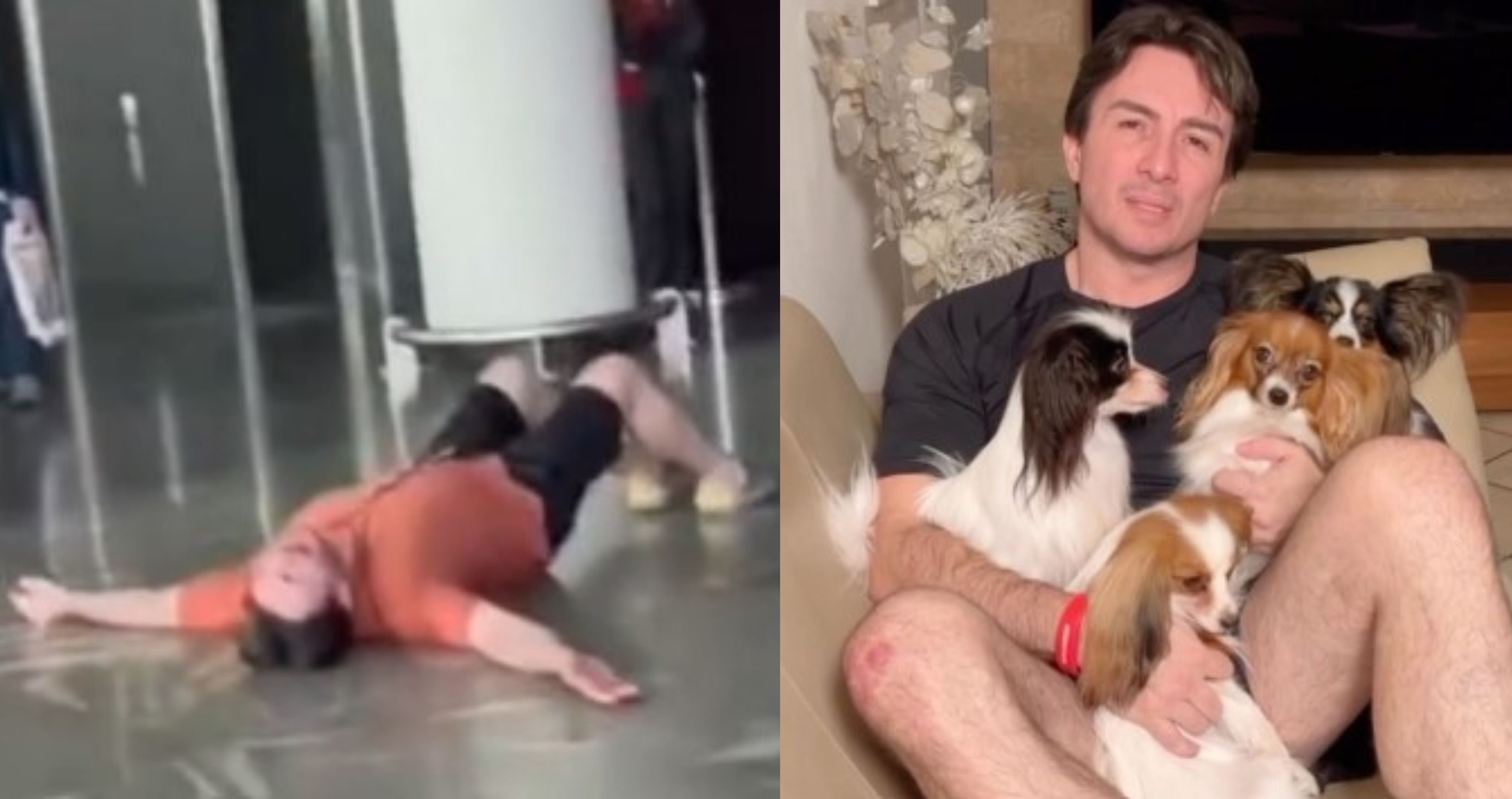 El turista que lloraba porque la erolínea perdió a su perros: "No pueden ser tratados como maletas"