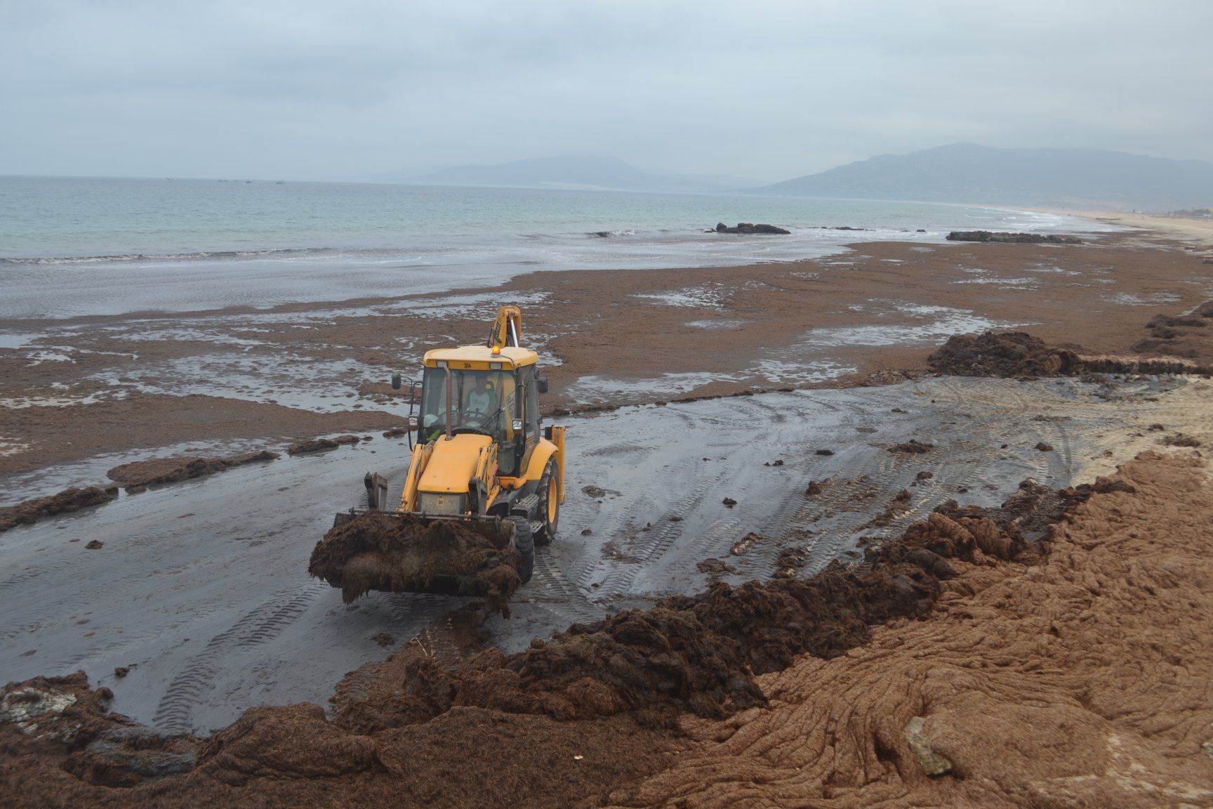 Un momento de los trabajos llevados a cabo por el Ayuntamiento de Tarifa.
