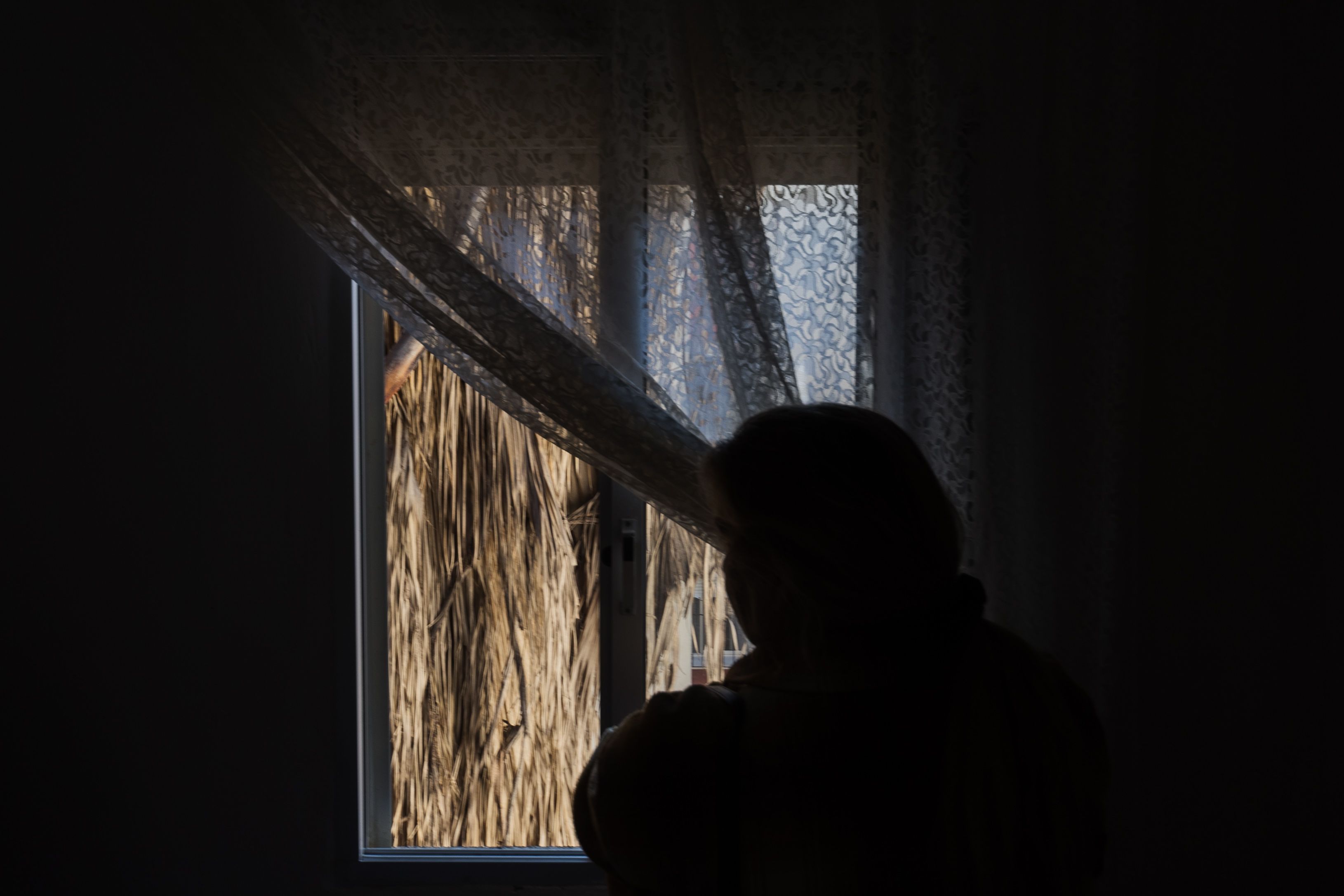 Las vistas desde una de las viviendas, con palmeras sin podar en primer plano, en días pasados en la zona de 'El Palmar', en Sanlúcar.