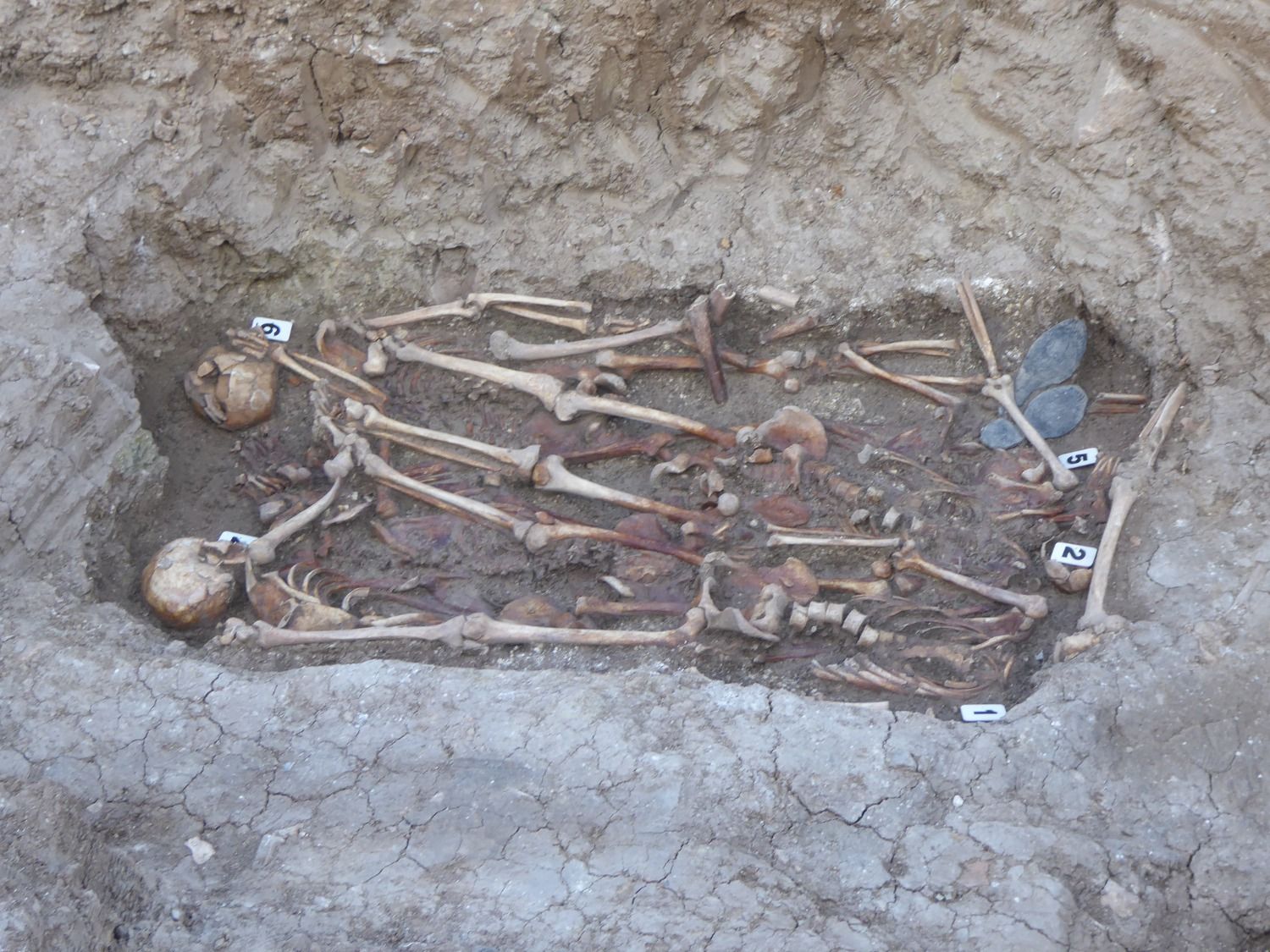 Dos de los cuerpos encontrados en el antiguo cementerio de Benamahoma. FOTO: DIPUTACIÓN DE CÁDIZ