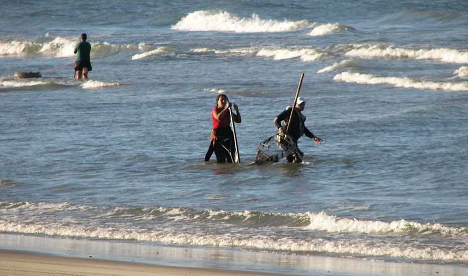 La experiencia en la actividad marisquera será prioritaria para la obtención de las licencias.