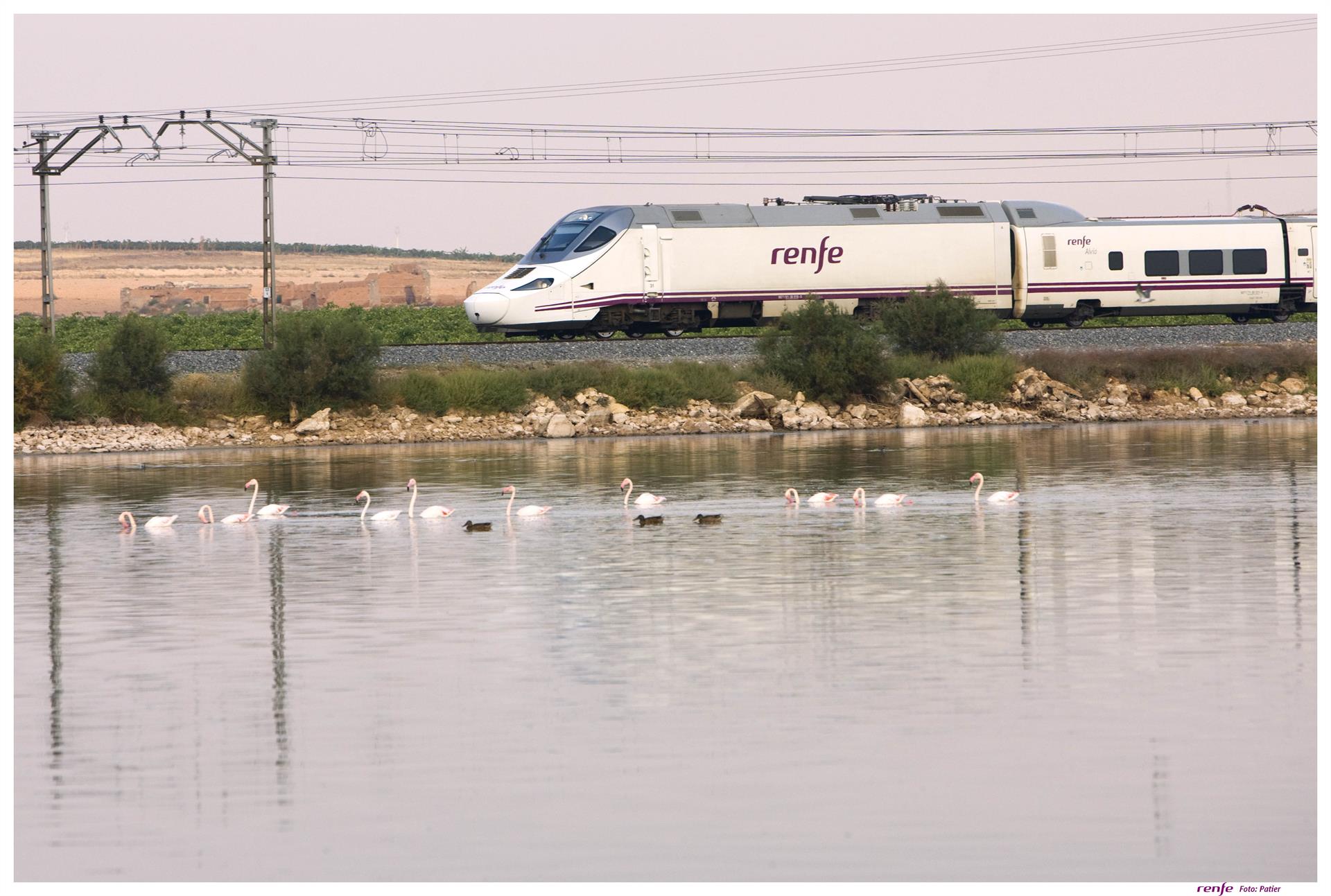 La Plataforma por el Ferrocarril convocó este mes de septiembre una manifestación por las incidencias en el tren Algeciras-Madrid.