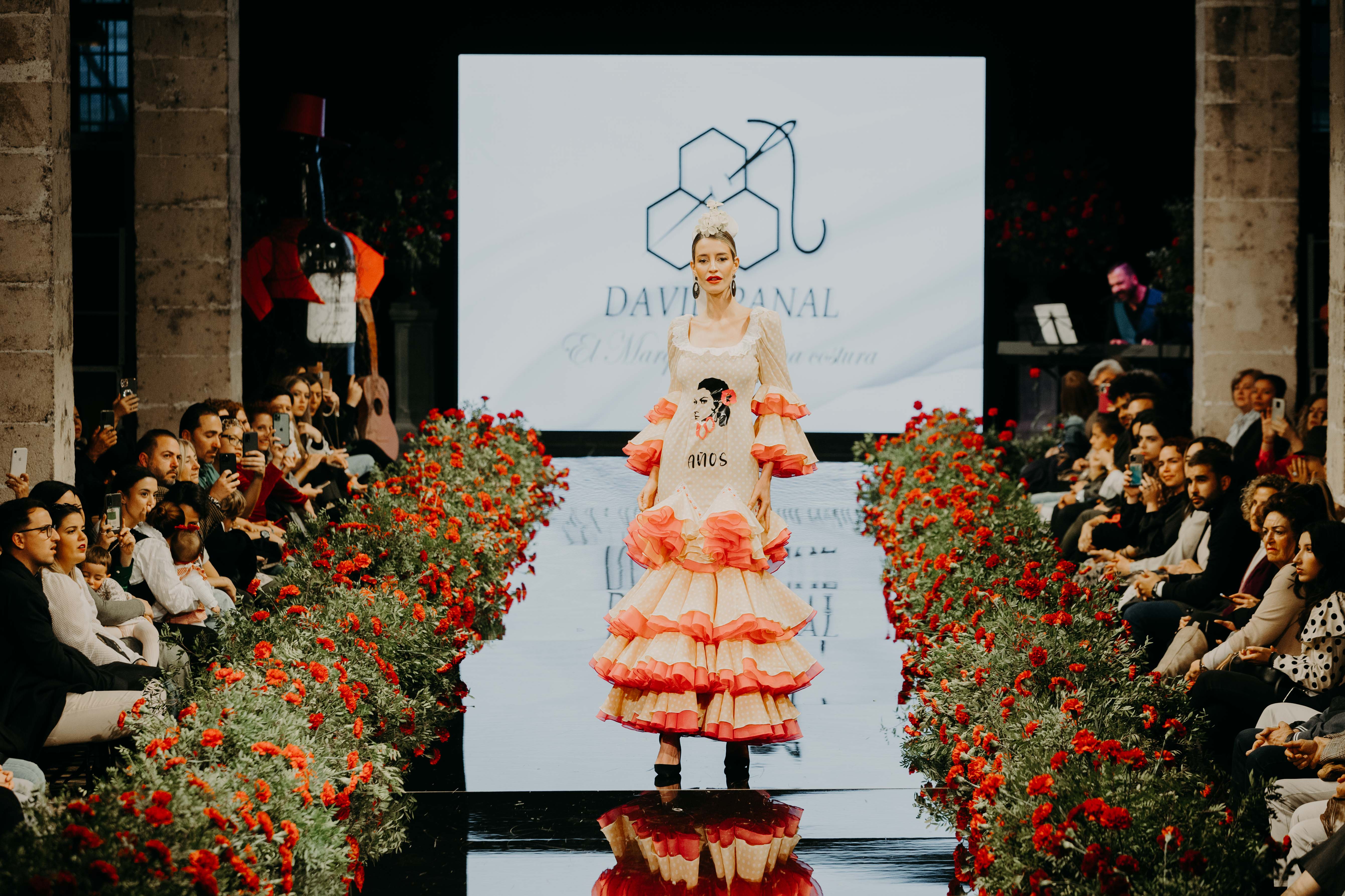 Colección de David Panal