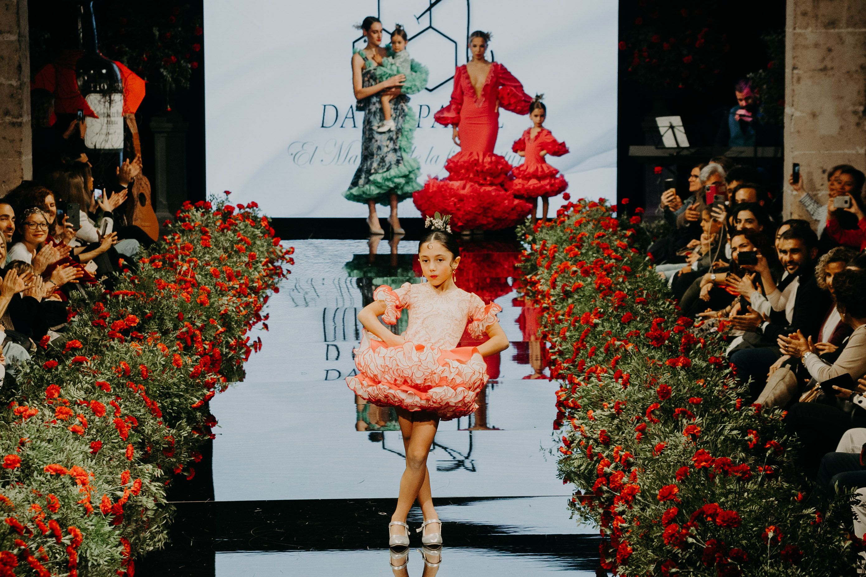 Colección de David Panal