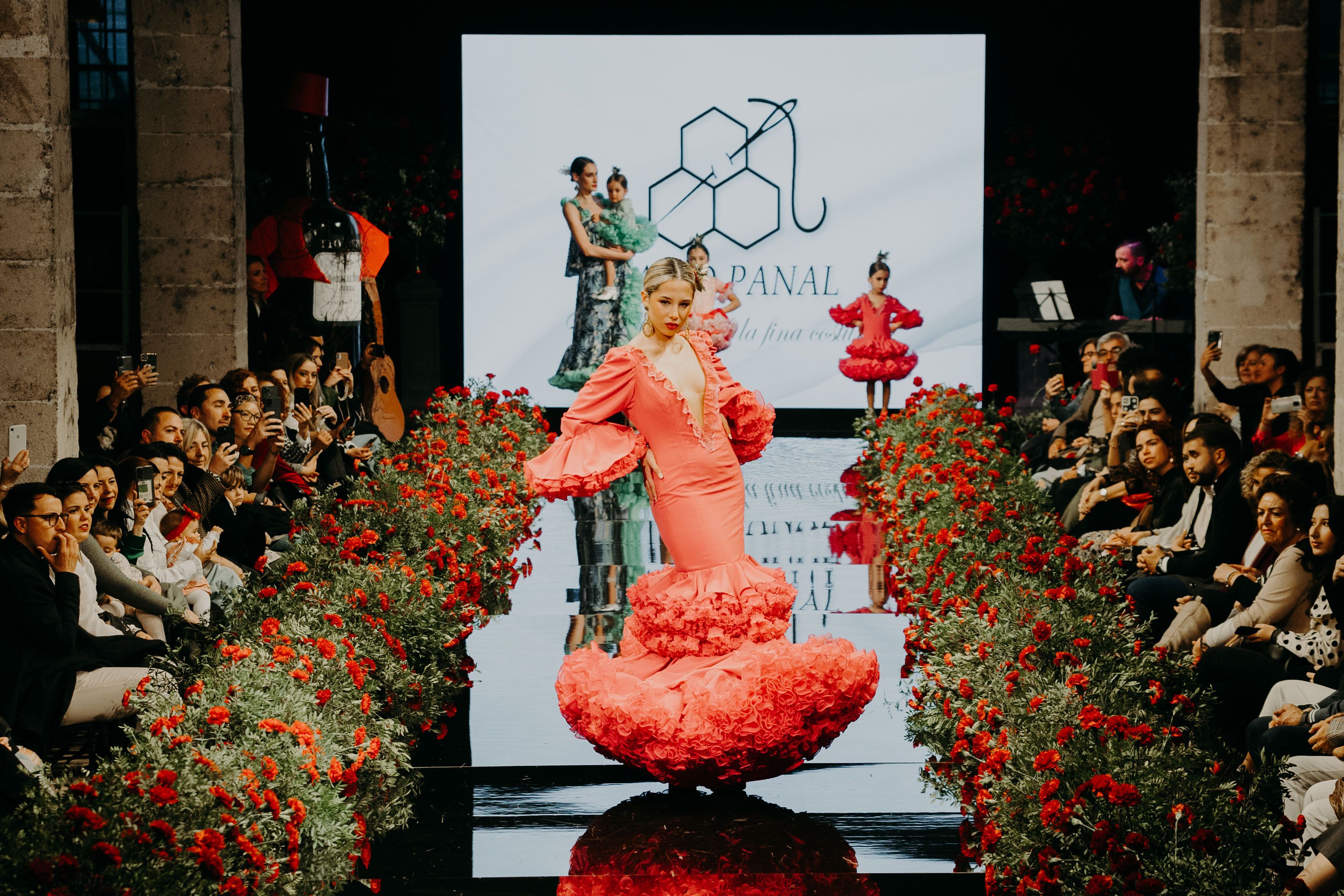 Colección de David Panal