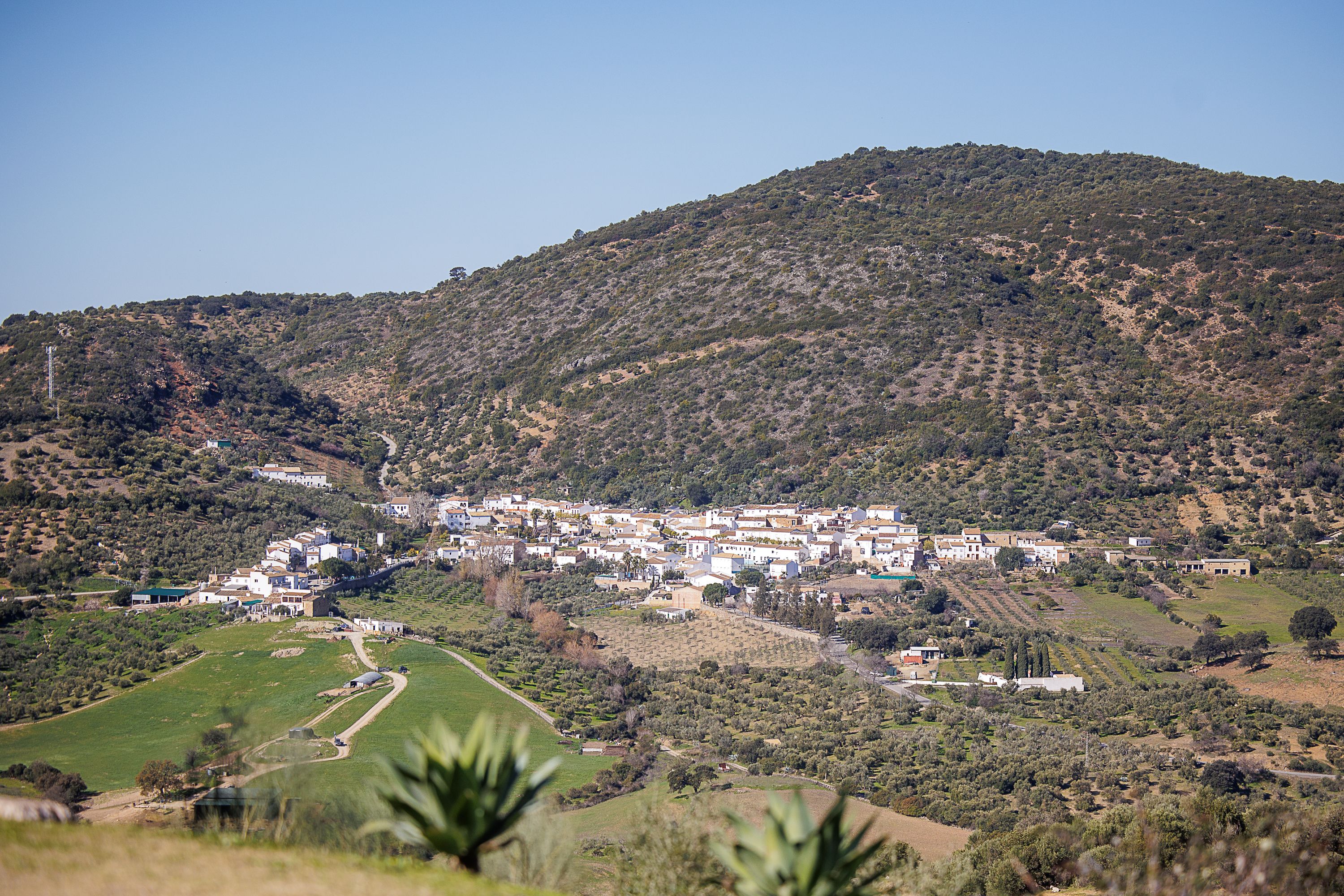 Algodonales, municipio de la Sierra de Cádiz donde se ubicará el nuevo Cedefo.