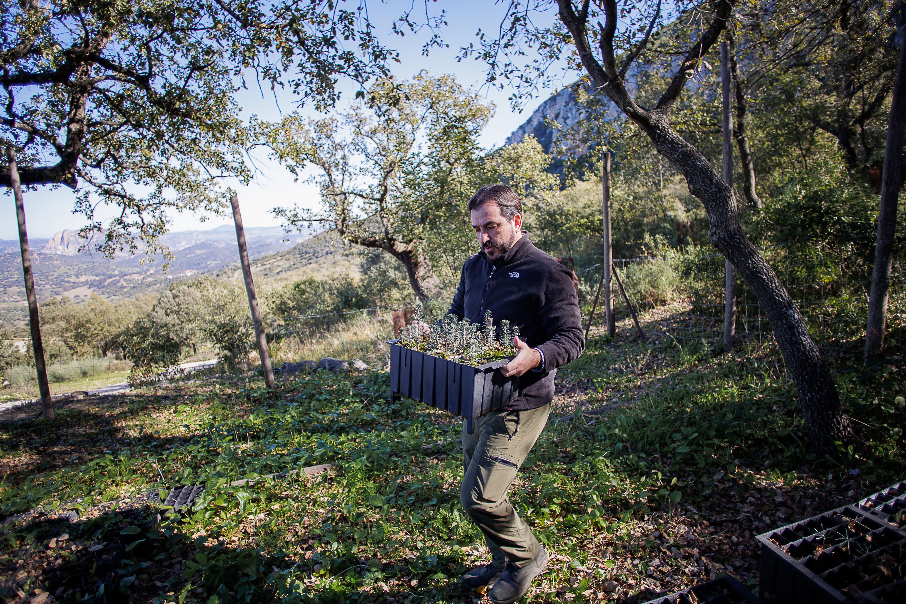 Pinsapos Algodonales  38