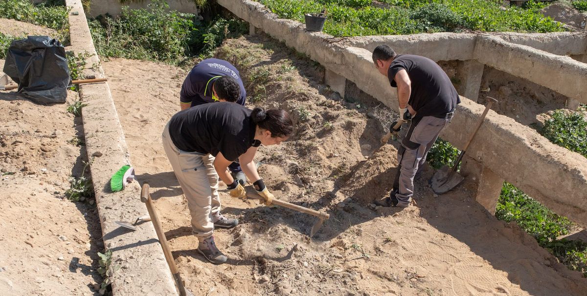 Nuevos trabajos de exhumación en el cementerio de Cádiz