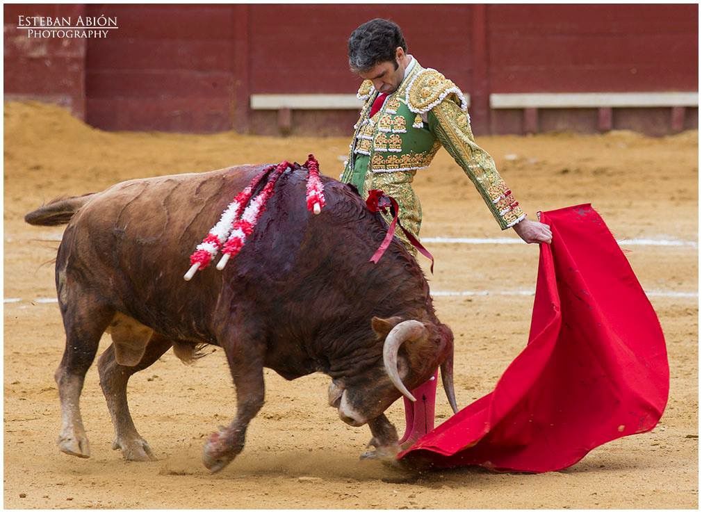 Imagen de una corrida de toros. La Junta defiende los espectáculos taurinos.