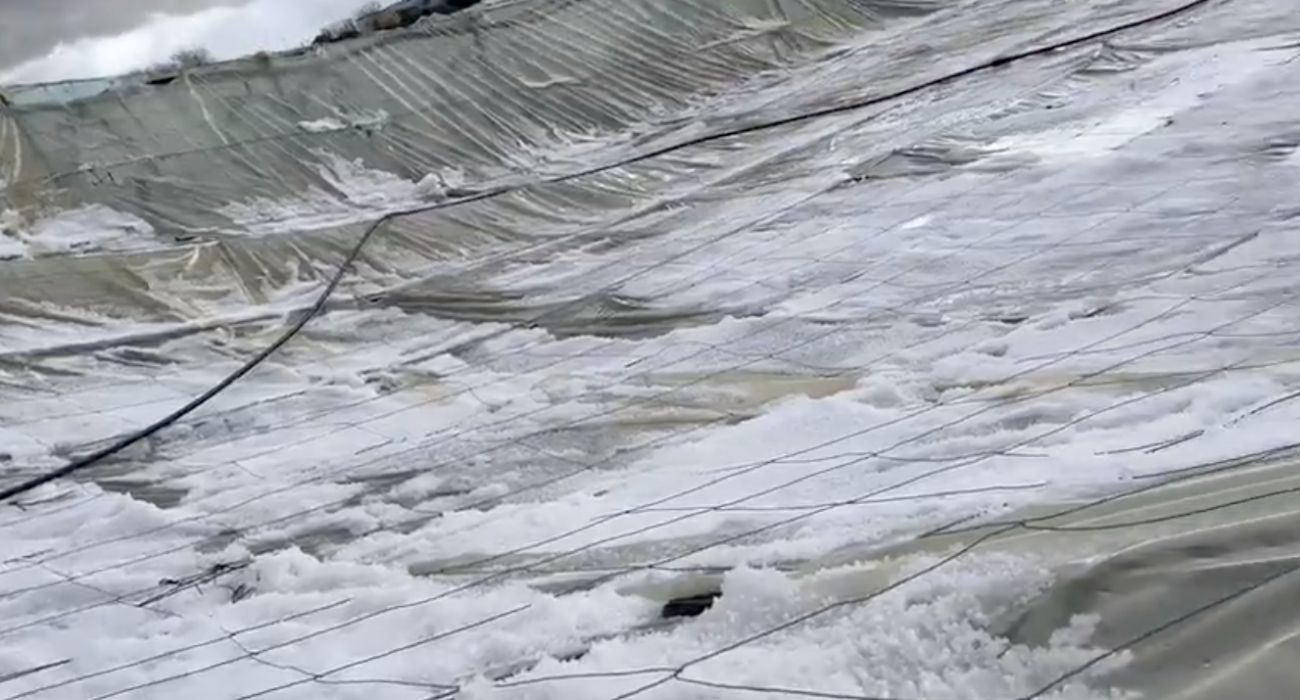 La tormenta de granizo ha destrozado numerosos invernaderos en Sanlúcar. La tormenta de granizo ha destrozado numerosos invernaderos en Sanlúcar.