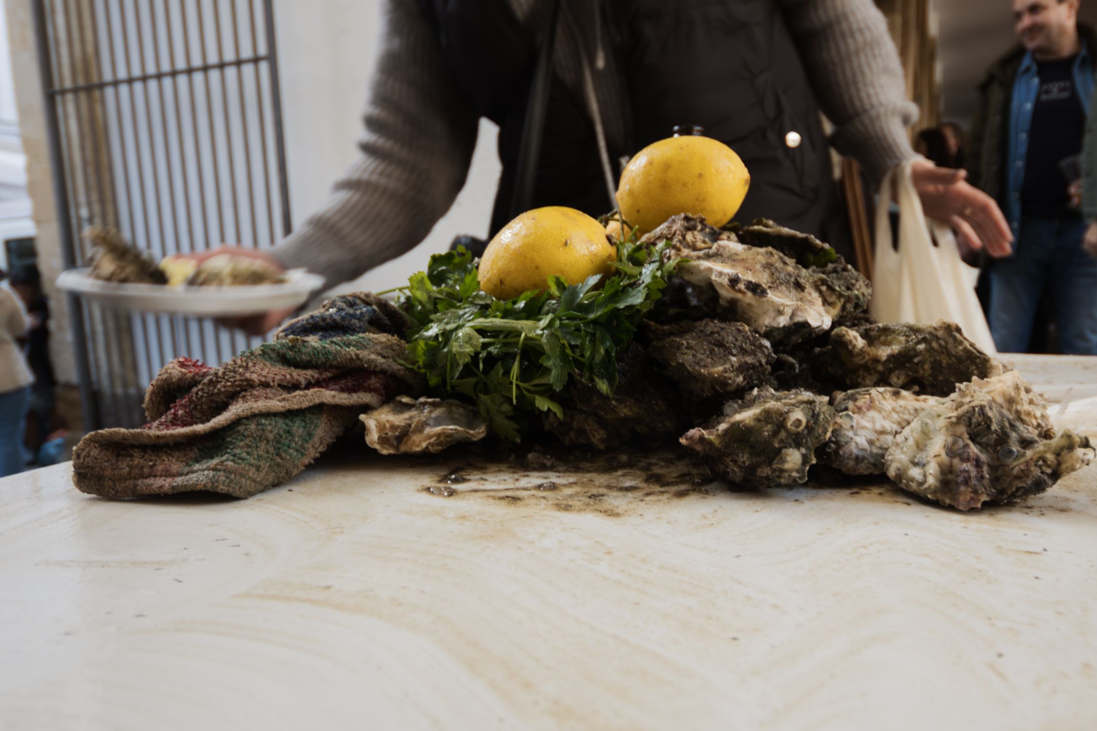 Erizada y ostionada en Cádiz Erizada y ostionada en Cádiz