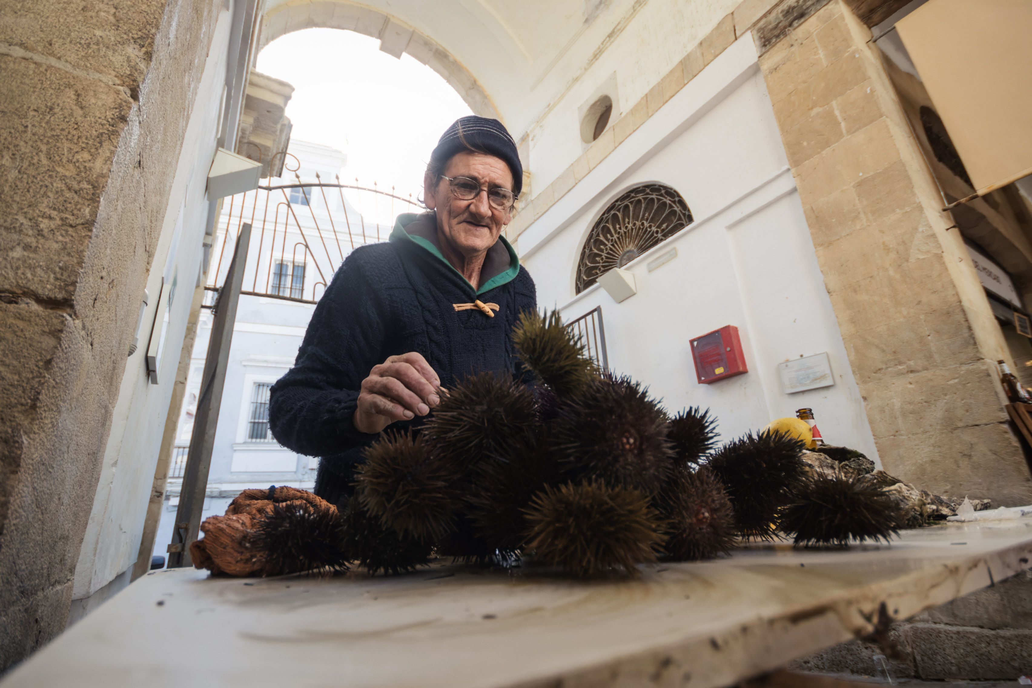 Erizada y ostionada en Cádiz Erizada y ostionada en Cádiz