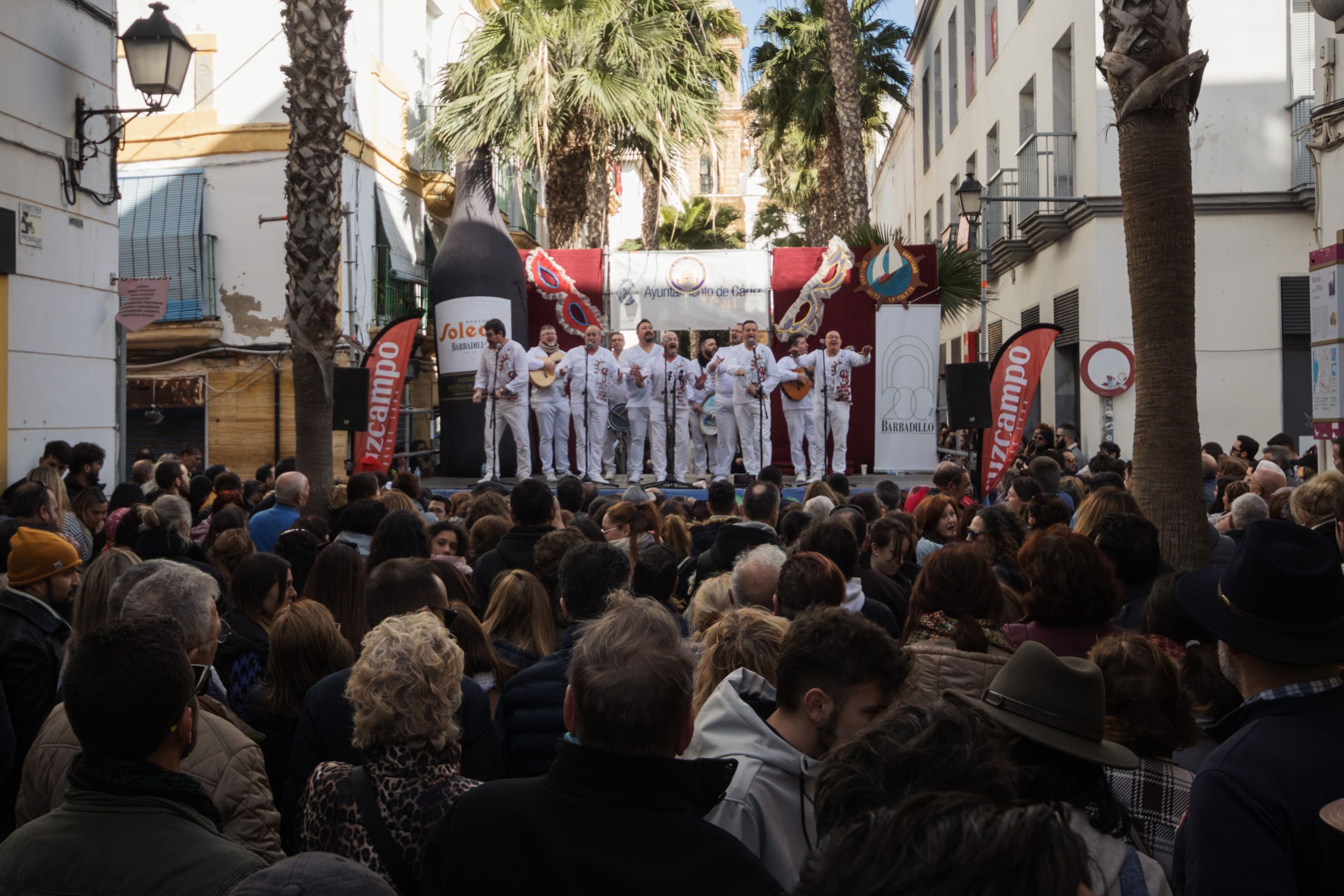 Erizada y ostionada en Cádiz Erizada y ostionada en Cádiz