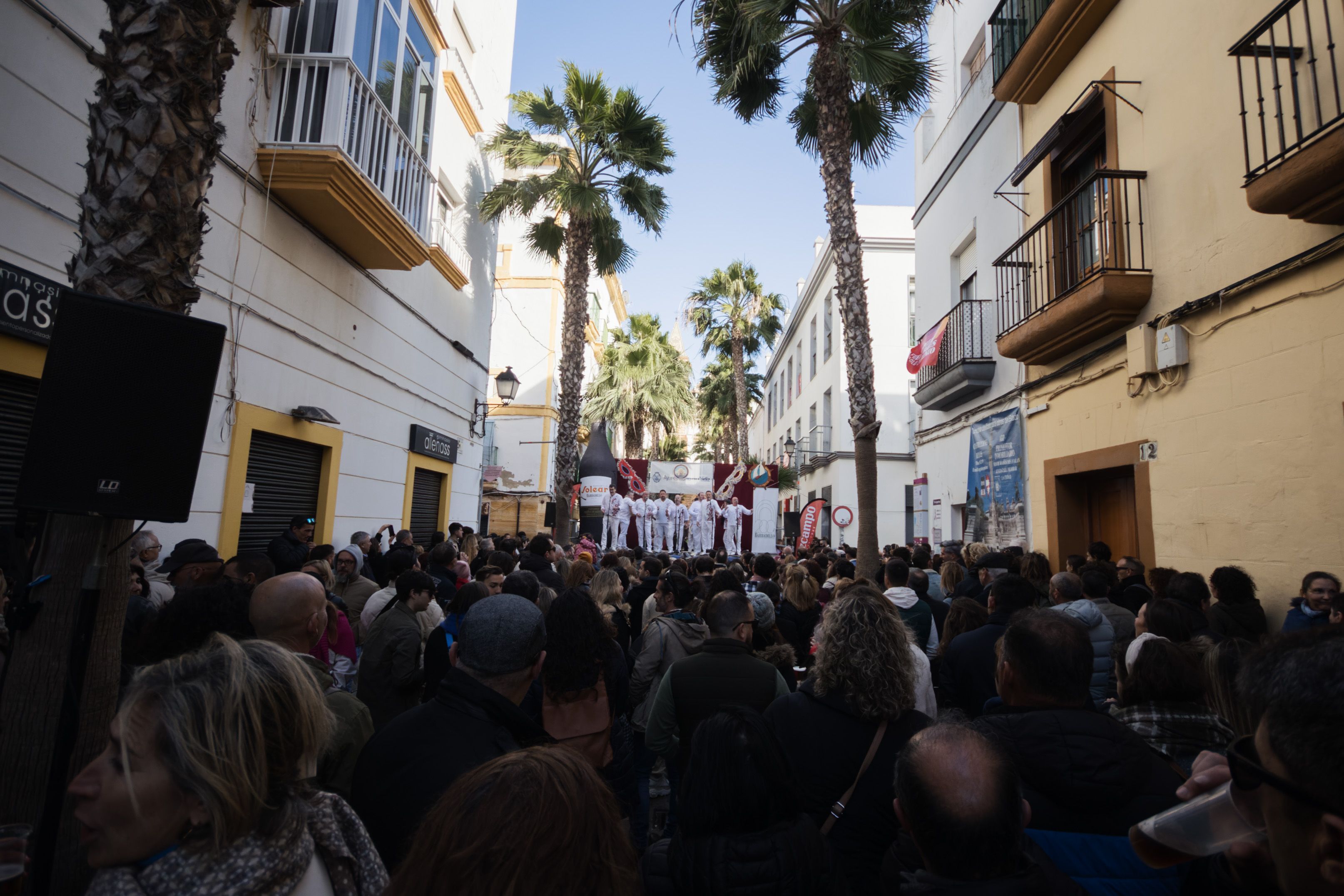 Erizada y ostionada en Cádiz Erizada y ostionada en Cádiz