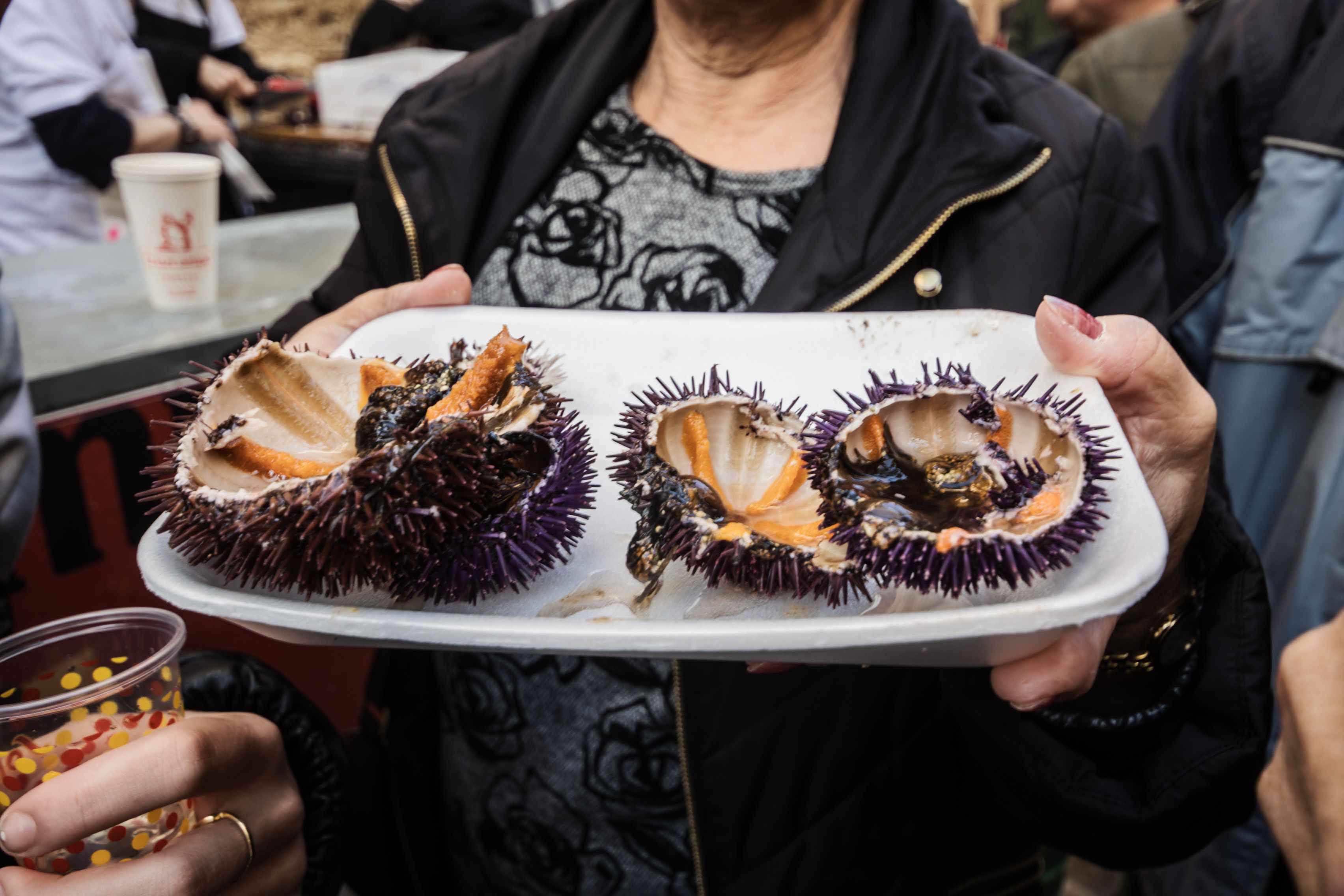 ERIZADA Y OSTIONADA 2023 27 ERIZADA Y OSTIONADA 2023 27