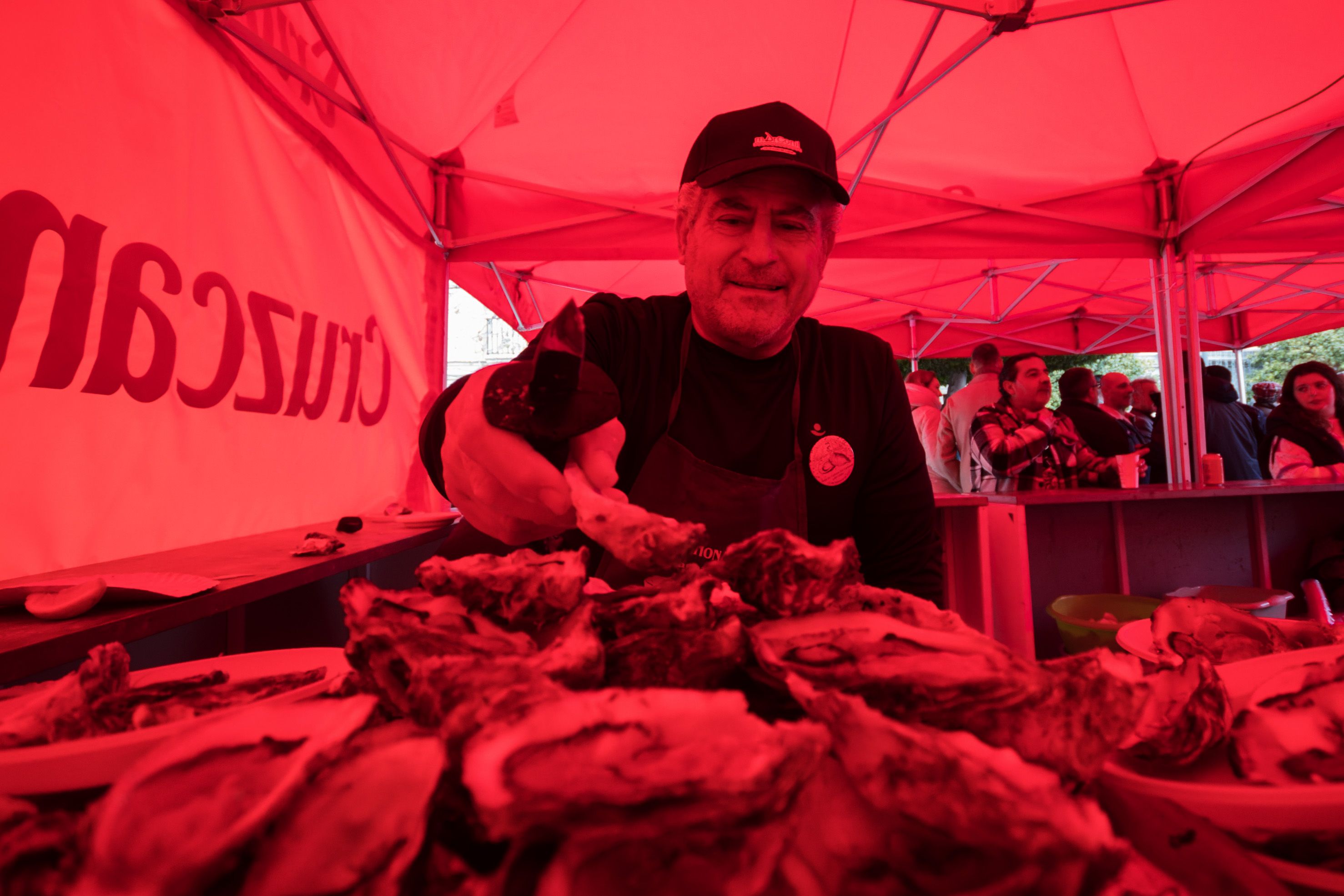 Erizada y ostionada en Cádiz Erizada y ostionada en Cádiz