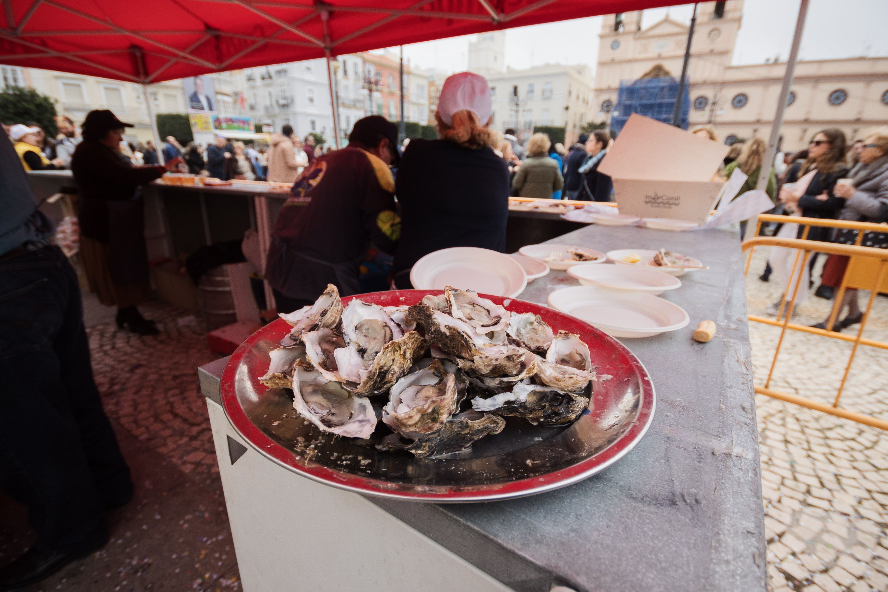 Erizada y ostionada en Cádiz Erizada y ostionada en Cádiz