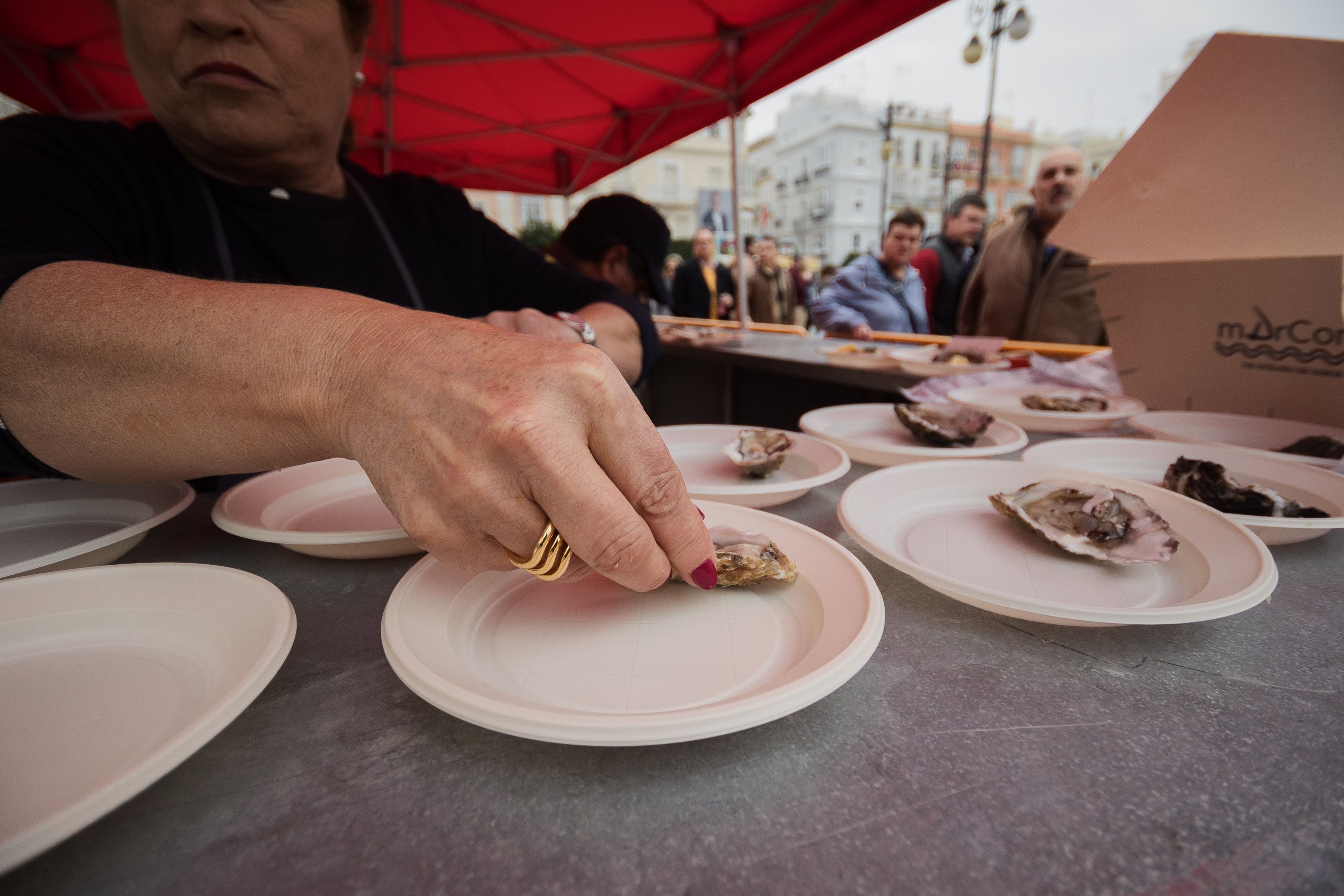 Erizada y ostionada en Cádiz Erizada y ostionada en Cádiz