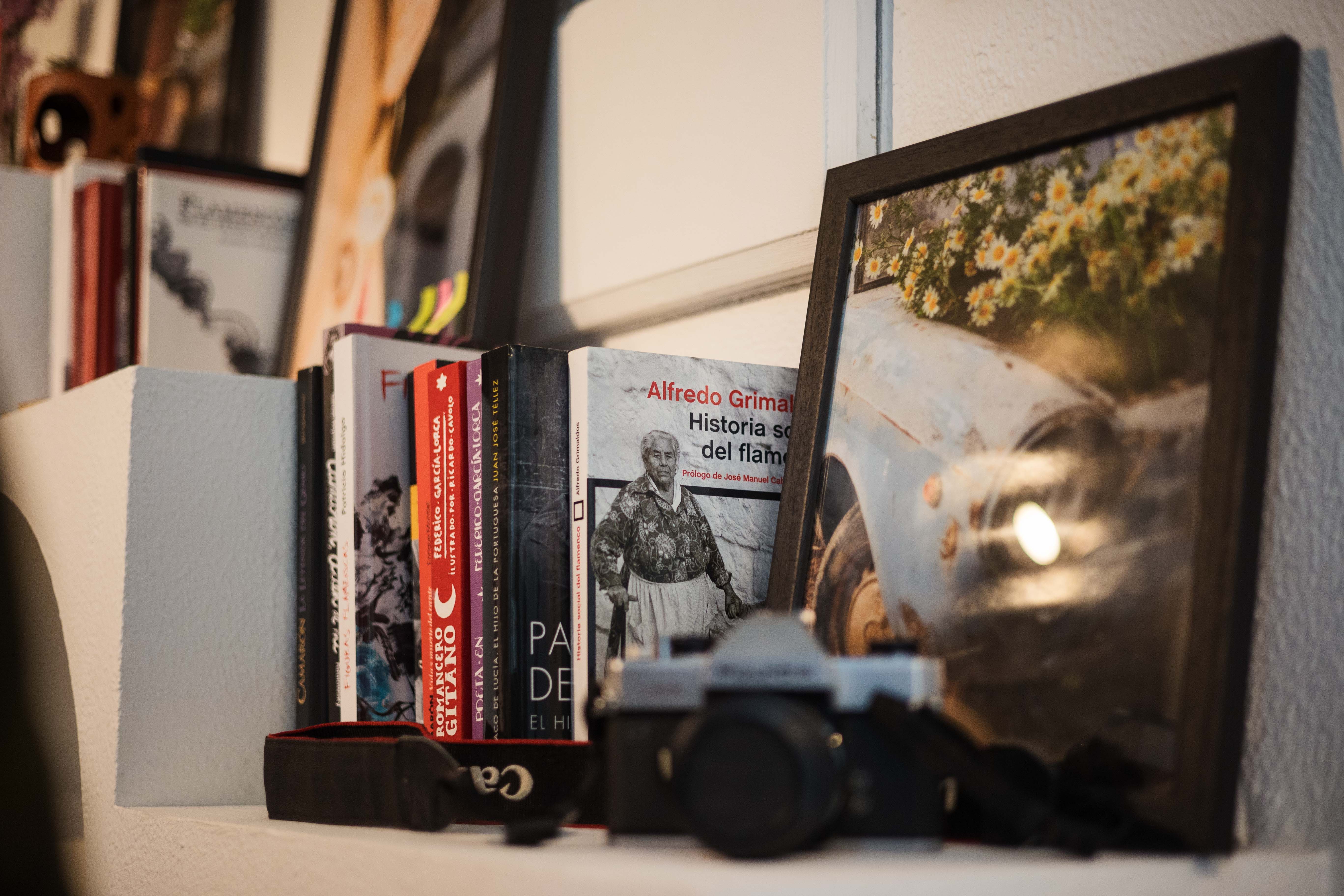 Estantería del estudio de Tani. 