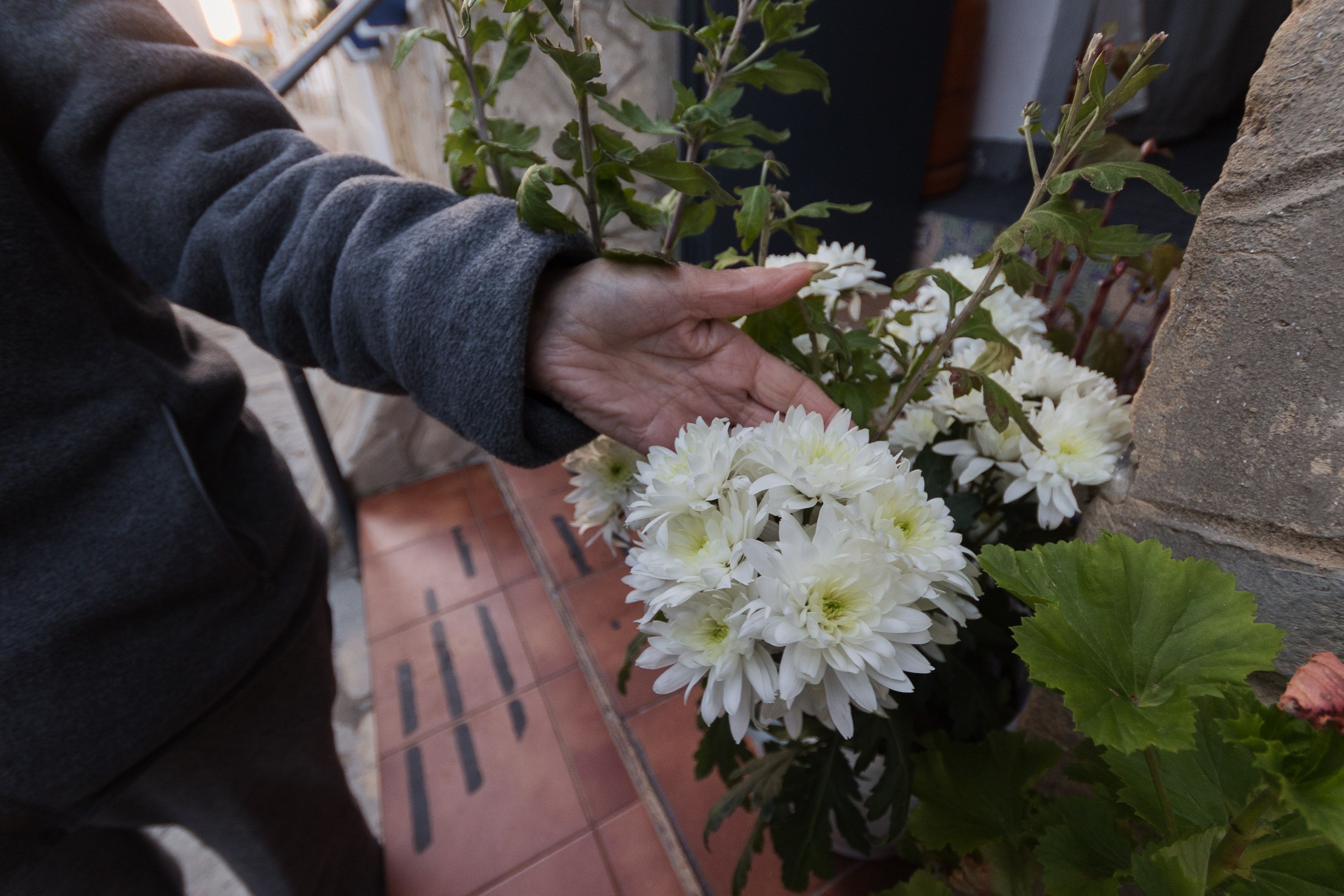 Una persona enseña las plantas de su terraza. Una persona enseña las plantas de su terraza.