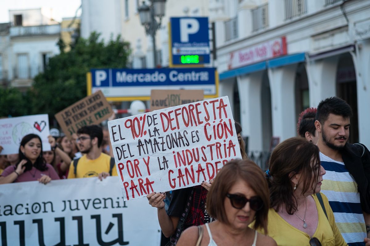 Manifestación por el clima en Jerez, el pasado 27 de septiembre. FOTO: MANU GARCÍA Manifestación por el clima en Jerez, el pasado 27 de septiembre. FOTO: MANU GARCÍA