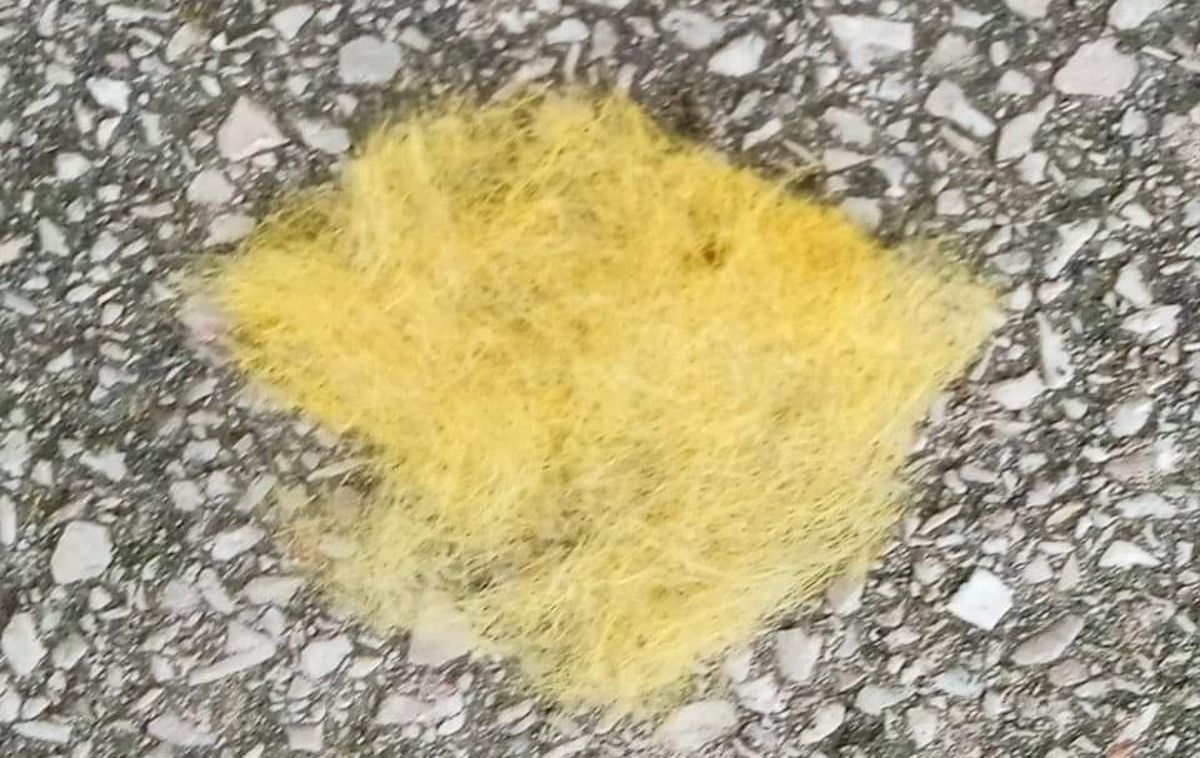 Restos nocivos procedentes de los terrenos de Delphi encontrados en la barriada Río San Pedro.