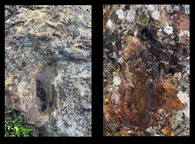Las huellas halladas en zonas rocosas.