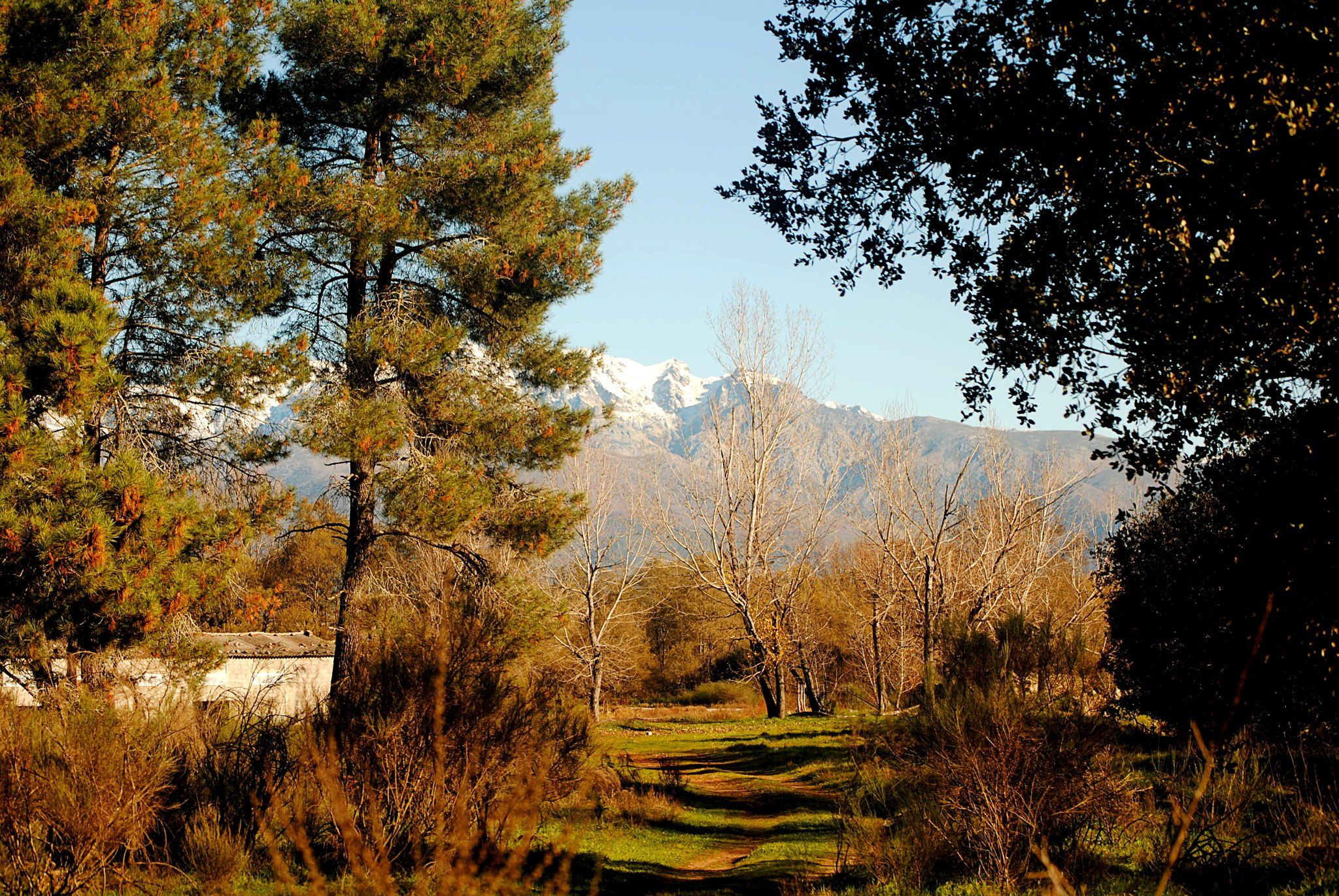 Villanueva de la Vera, en una imagen de archivo. FOTO: LAURA TORRES.