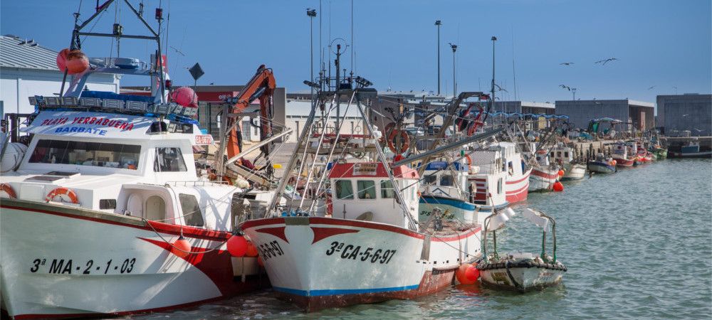 Una imagen del puerto pesquero de Barbate, tierra de marineros.