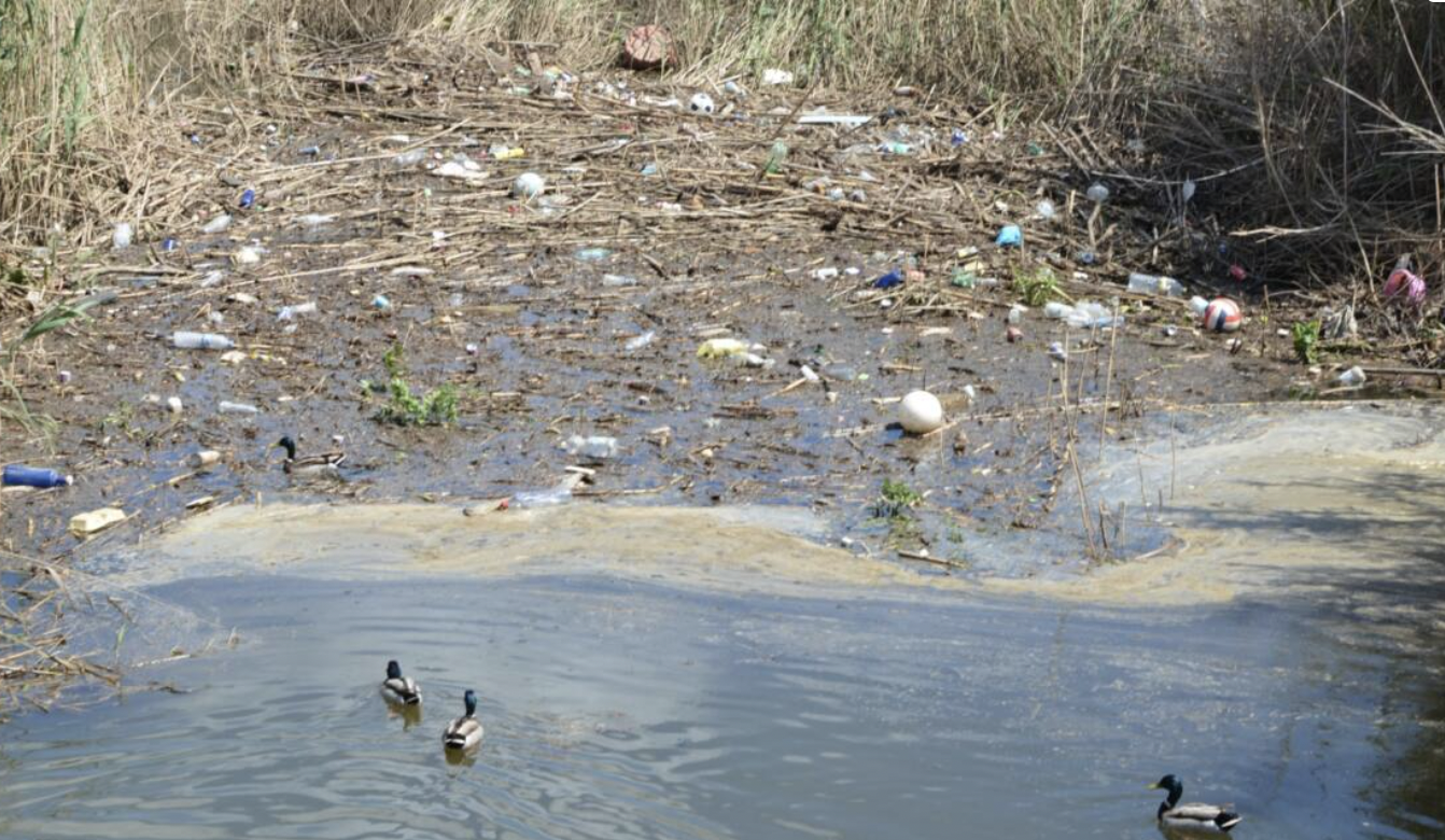 Acumulación de basura en el Arroyo Negro de La Línea.