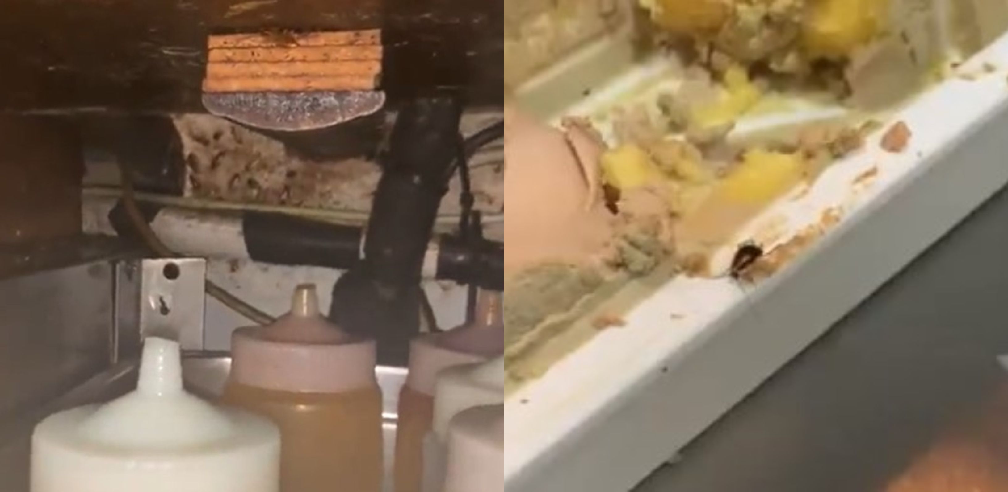 Cucarachas en la comida. TWITTER