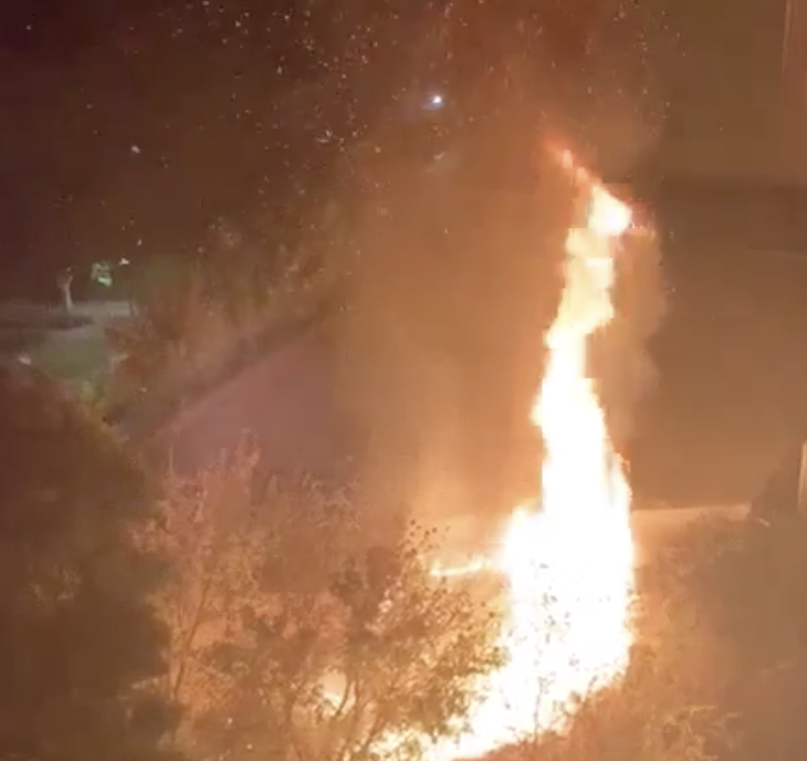 Captura de pantalla 2019-10-01 a las 7.54.07