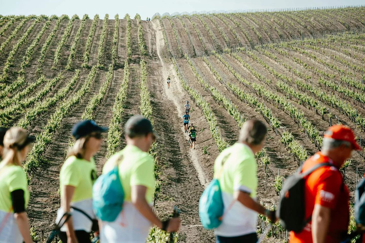 Aún tienes tiempo de inscribirte en la Sherry Maratón 2023: ¿sabes que hay modalidad 'senderista'?
