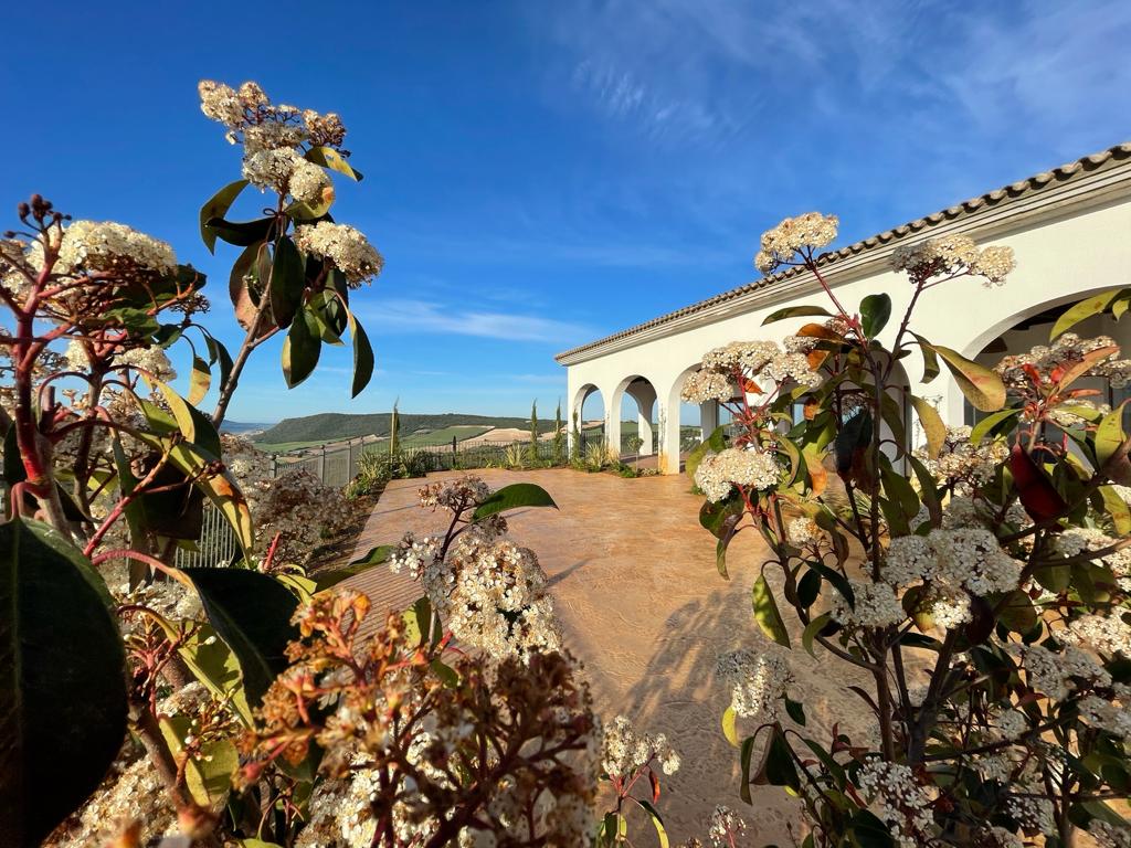 Bodega Campestral en Arcos de la Frontera.  BODEGA CAMPESTRAL
