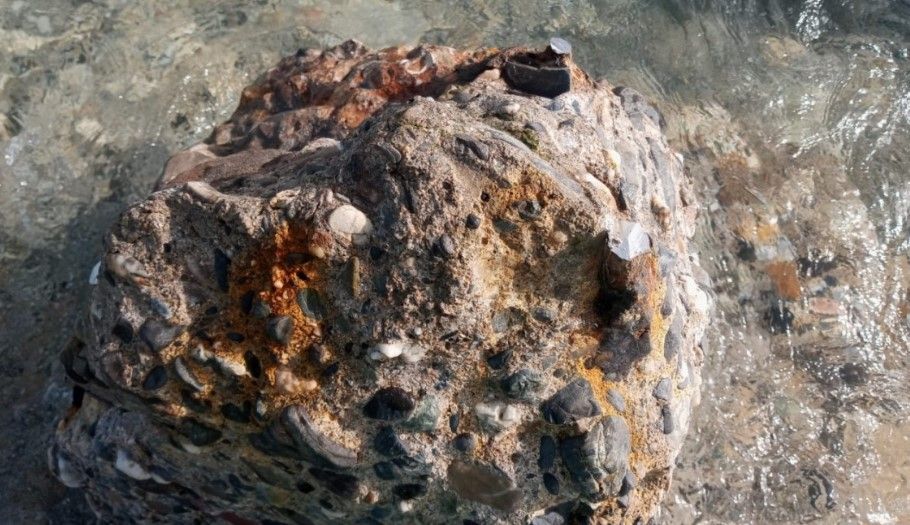 Tesoro descubierto en La Línea.  AYTO DE LA LÍNEA