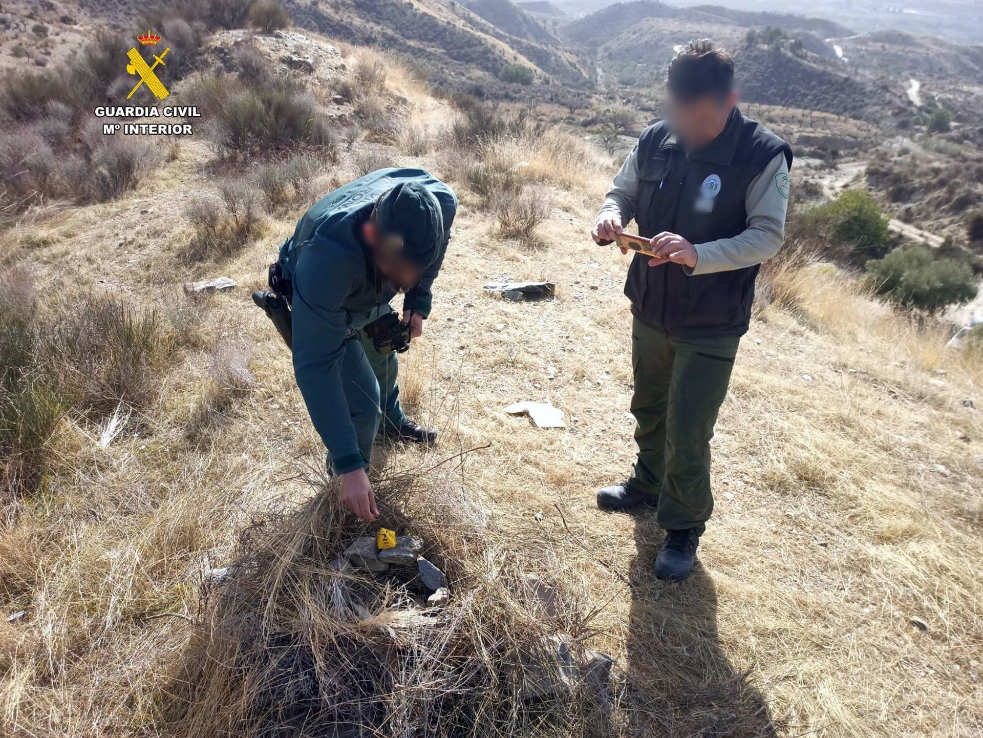 La Guardia Civil investiga la muerte de un águila real en un coto de caza de Almería.