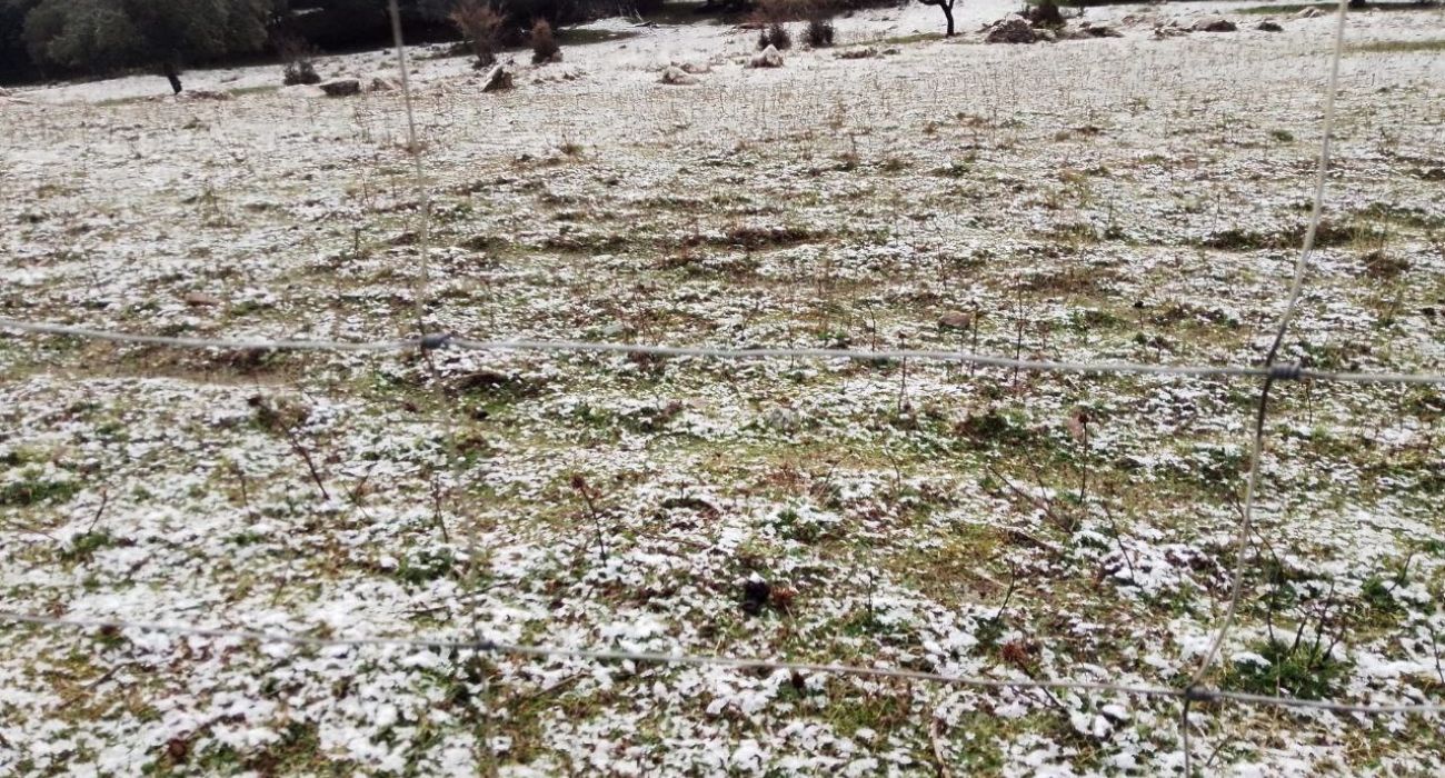 Nieve en la Sierra de Cádiz. Nieve en la Sierra de Cádiz.