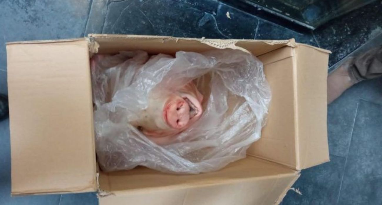 La cabeza de cerdo que han recibidido el presidente y el vicepresidente de la Sampdoria.