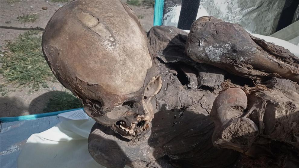 Encuentran una momia prehistórica en la mochila de un repartidor a domicilio.   Ministerio de Cultura de Perú.