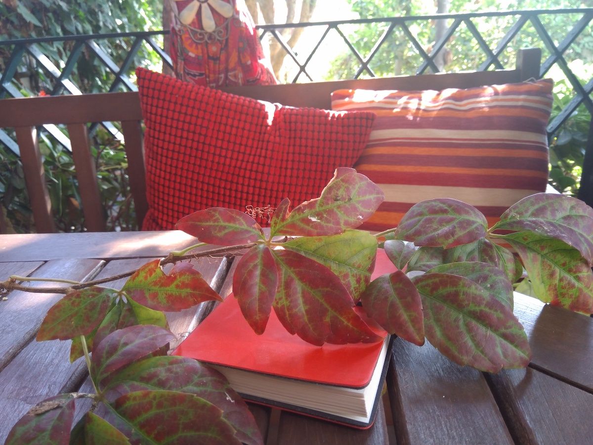 El otoño enrojece las hojas.