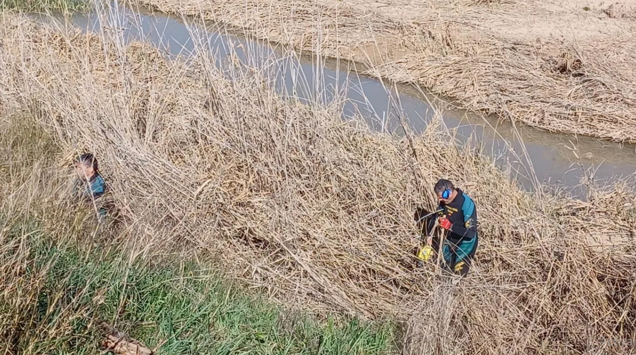 Agentes de la Guardia Civil buscan el arma homicida del crimen cometido en El Rubio, en Sevilla.