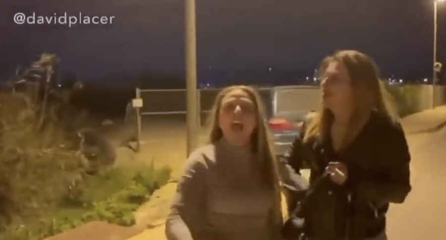 Las dos mujeres que provocaron el accidente e insultaron a la víctima.