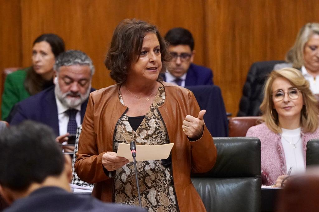 Catalina García, consejera de Salud de la Junta.