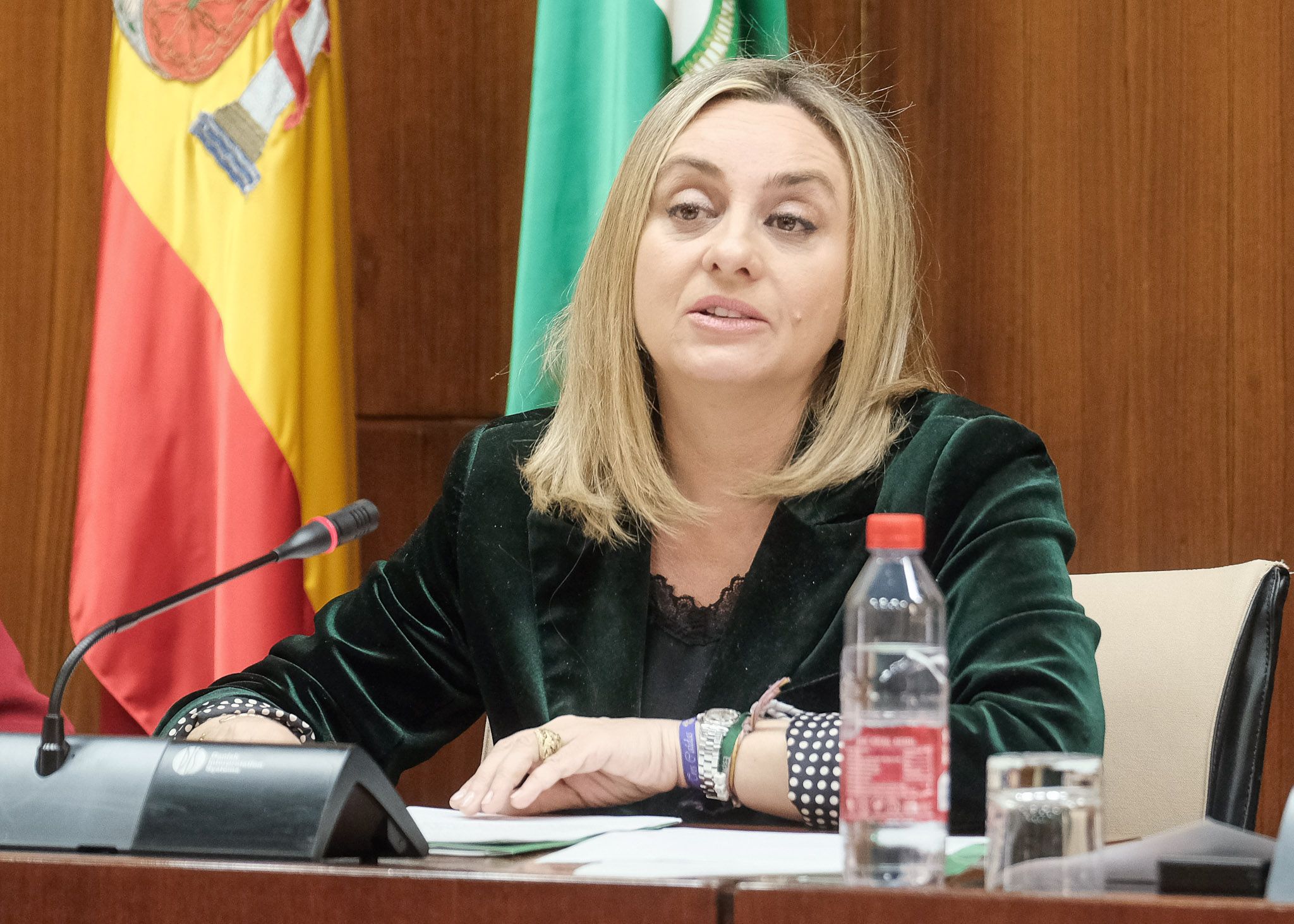 Marifrán Carazo, consejera de Fomento y Vivienda de la Junta.