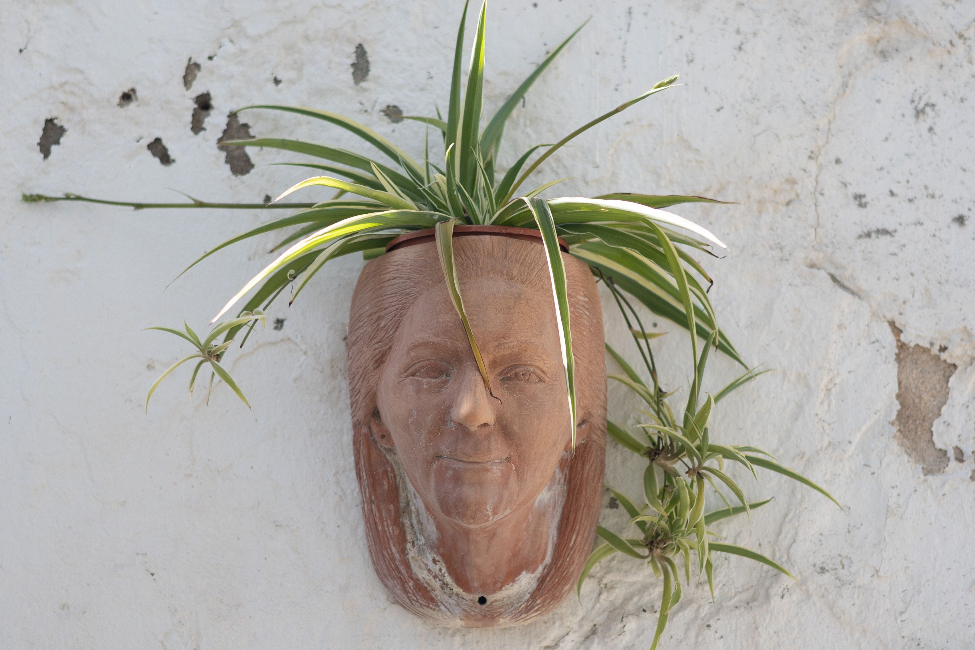 Maceta de Inmaculada Manforro Carpo. 