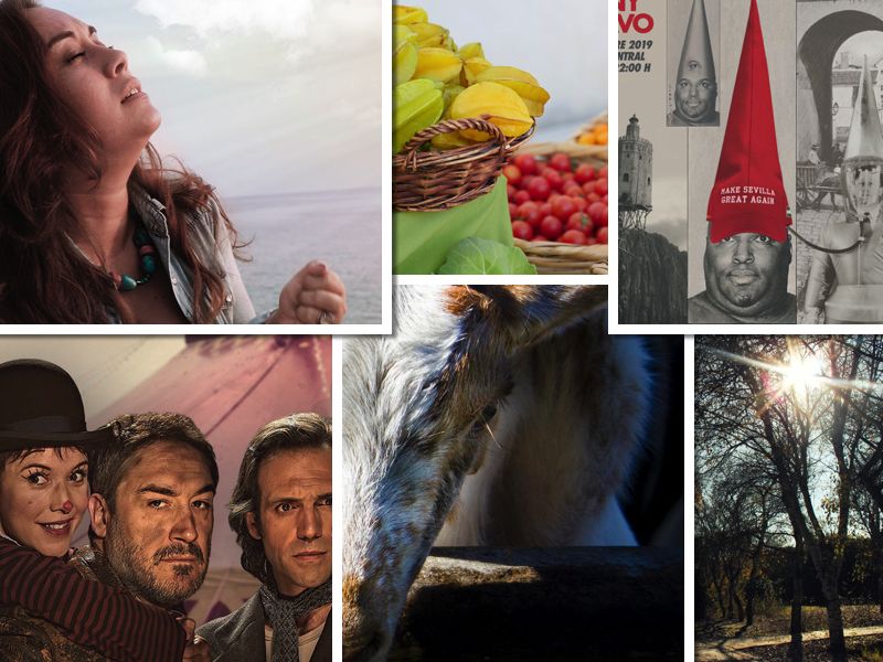 Un finde plagado de planes de Cádiz a Sevilla.