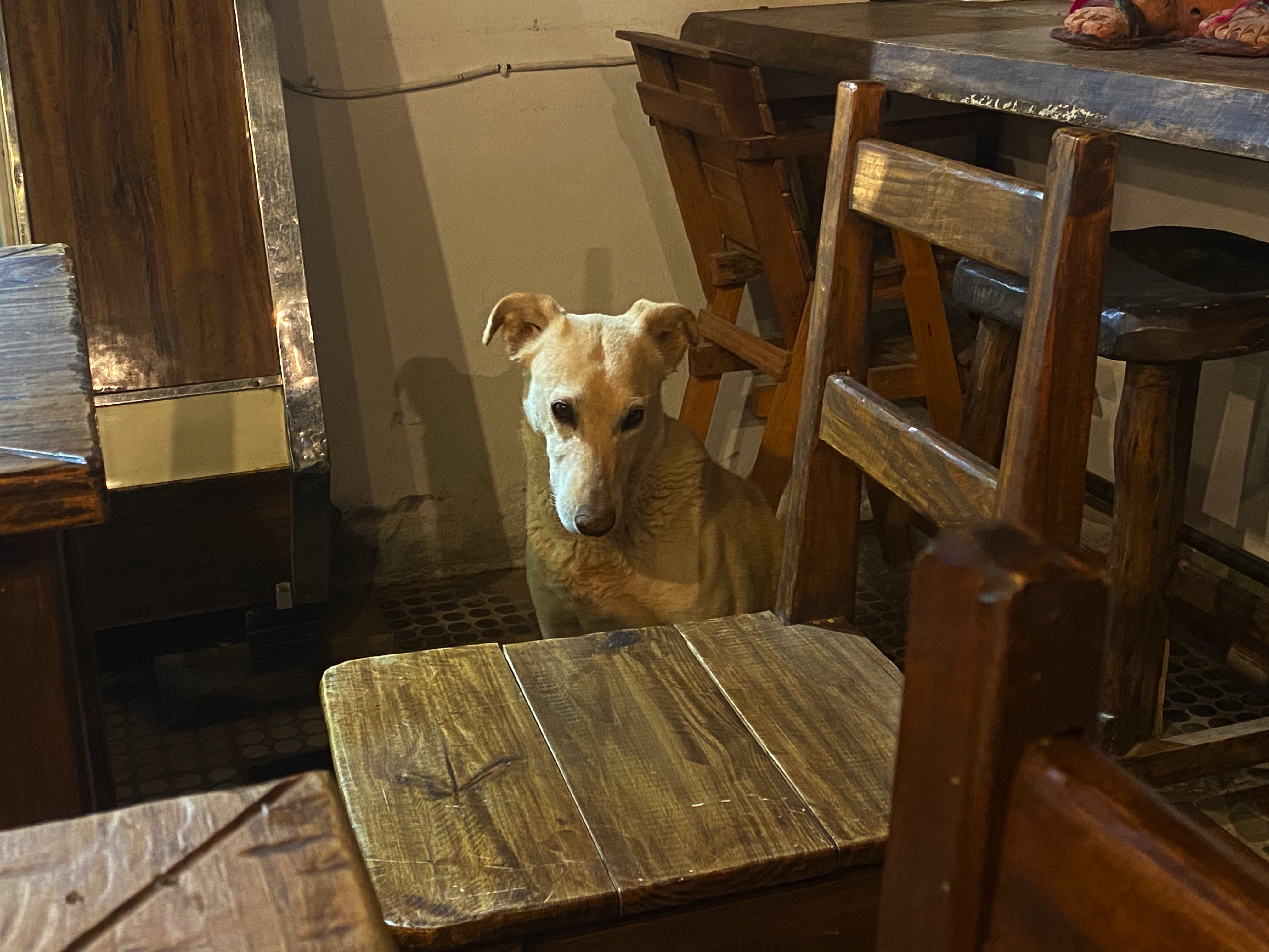 Los cerros. En Tilcara, PabloMtnezCalleja, 2023.