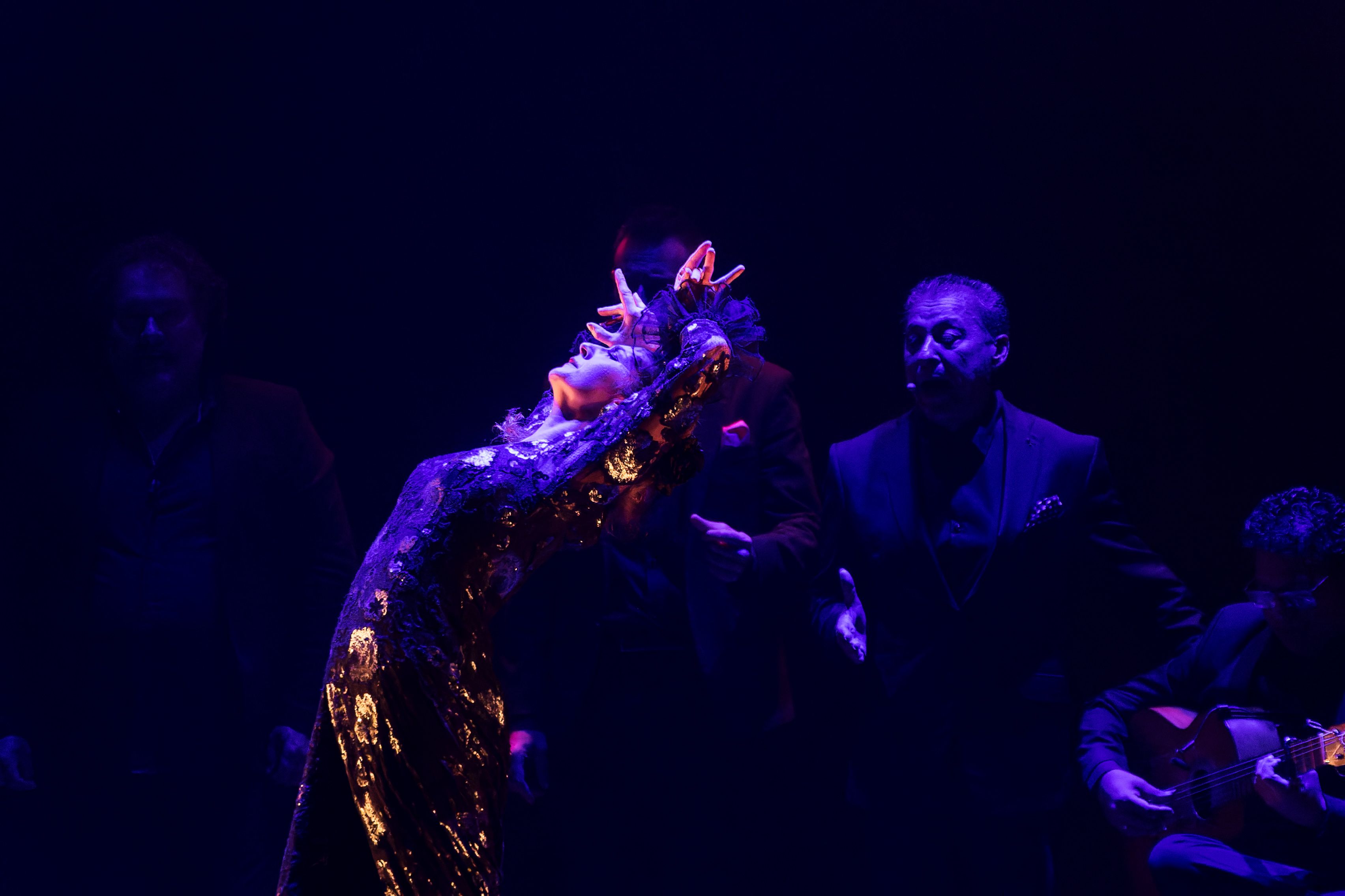 Compañía María José Franco 'Bailar para ser'